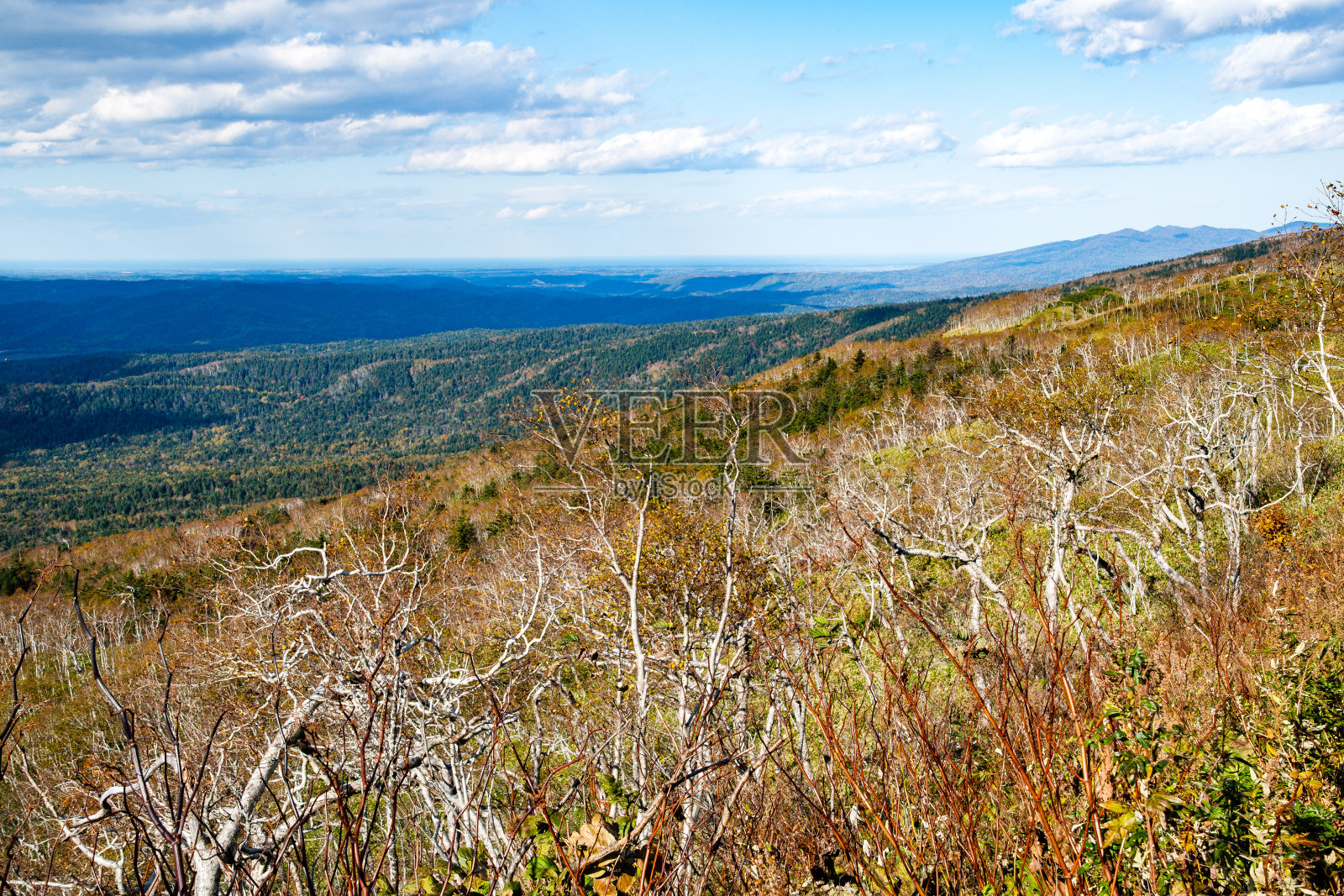 从日本北海道东部铁贺马苏湖边的道路上观看东霍莱多的景观照片摄影图片