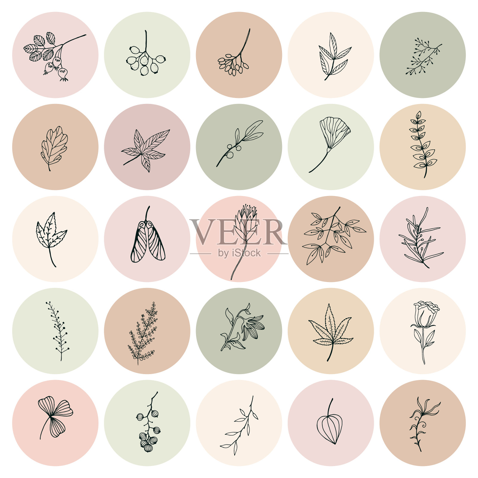 花的Insta突出封面，现代抽象Instagram图标，中性社交媒体图标插画图片素材