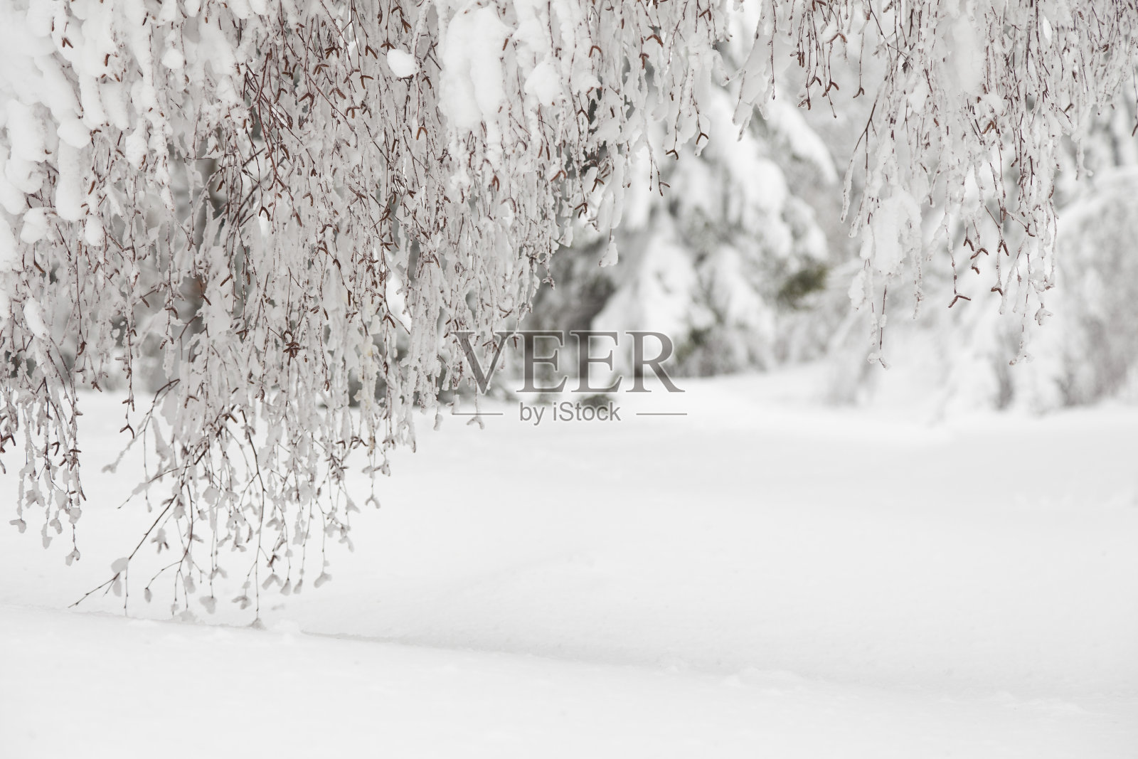 神奇的冬景照片摄影图片