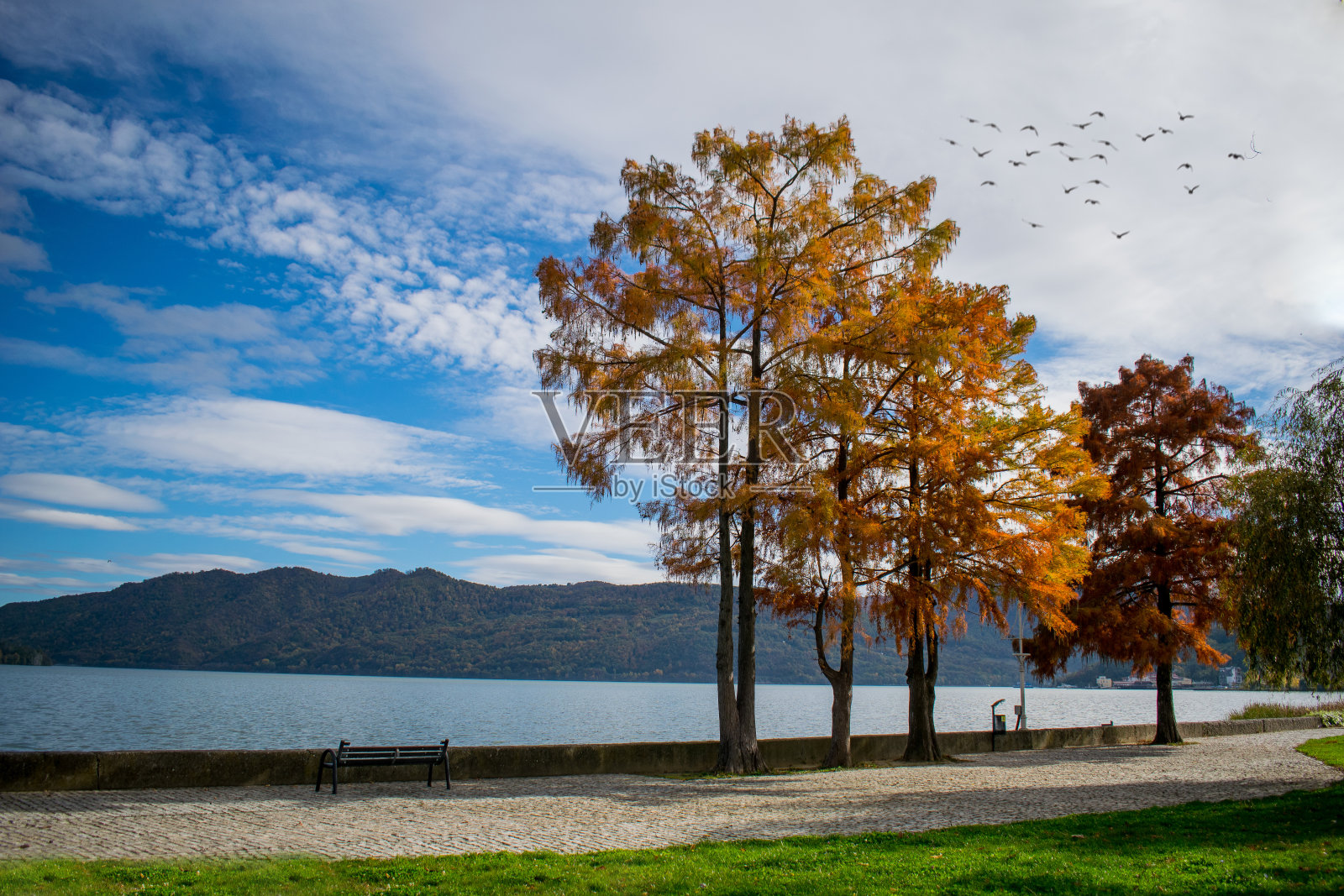 秋天的风景。照片摄影图片