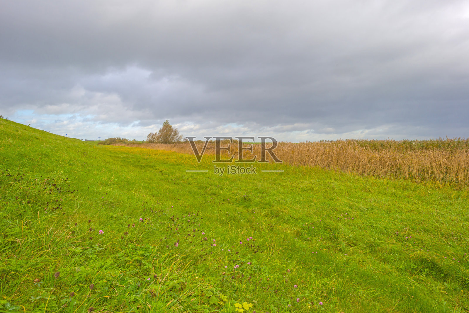 在蓝色多云的雨和暴风雨的天空下，一个湖的边缘在秋天的颜色照片摄影图片