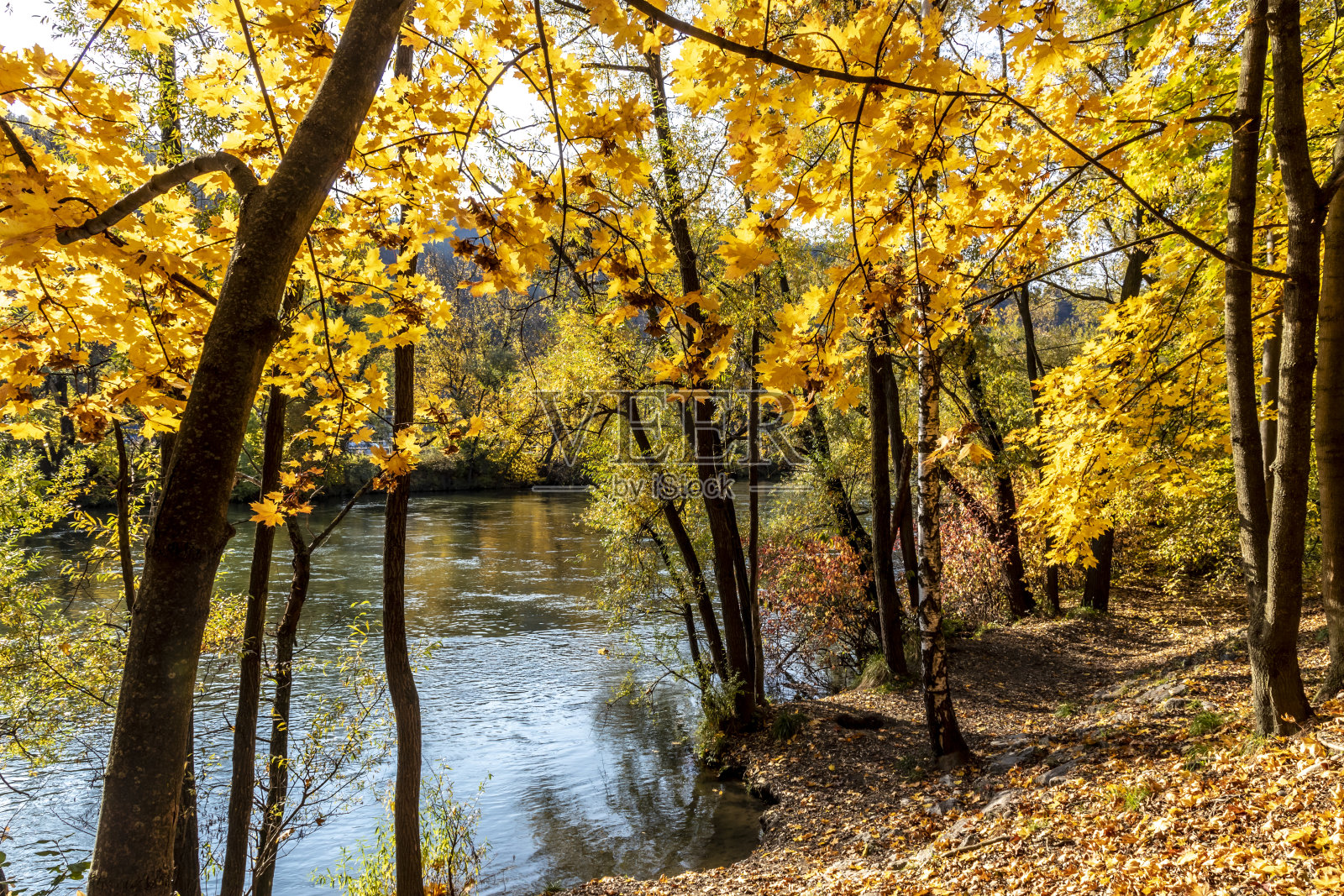 奥地利styria的秋天照片摄影图片