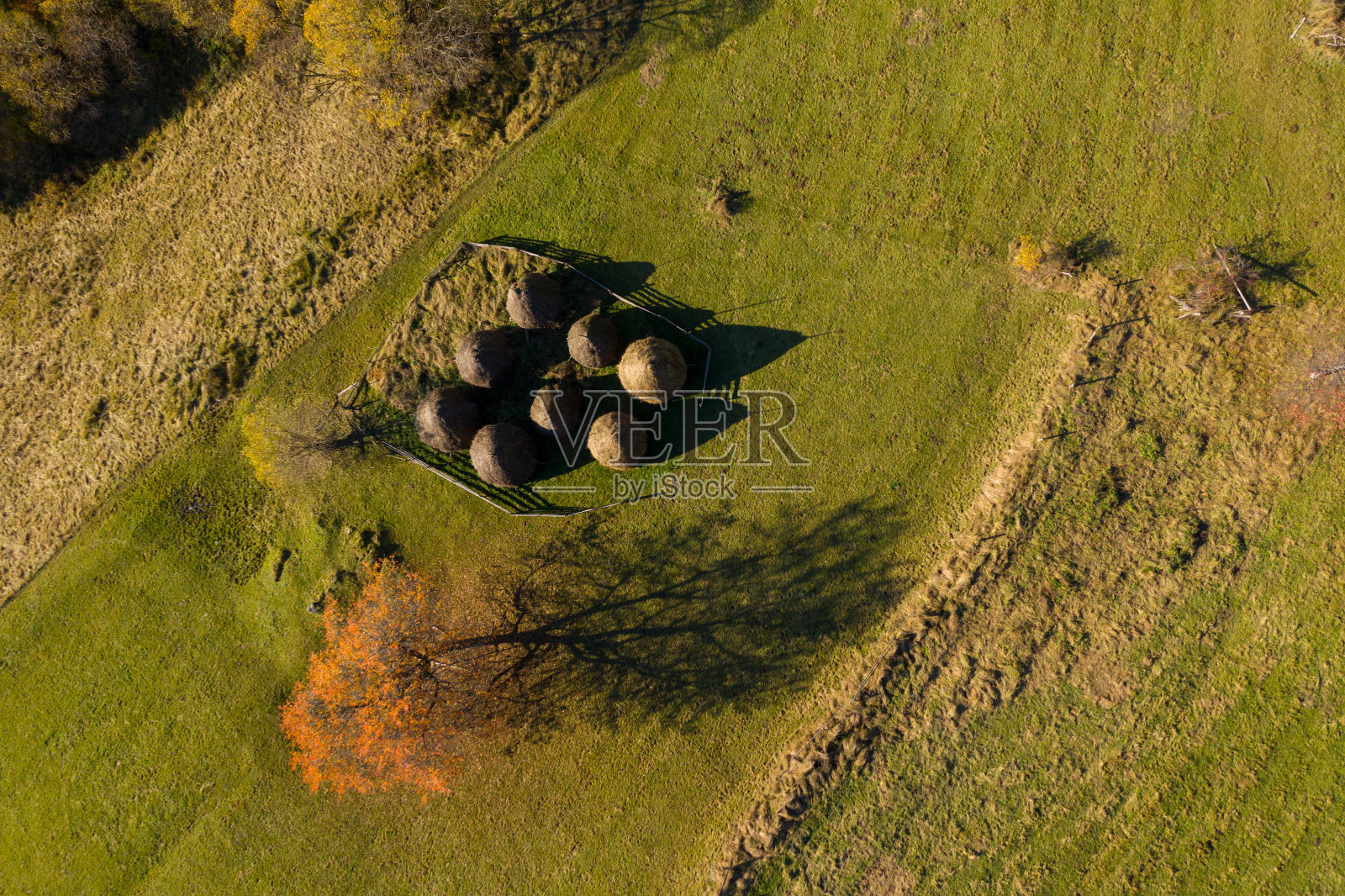 鸟瞰图，一群秋天的草堆在草地上照片摄影图片