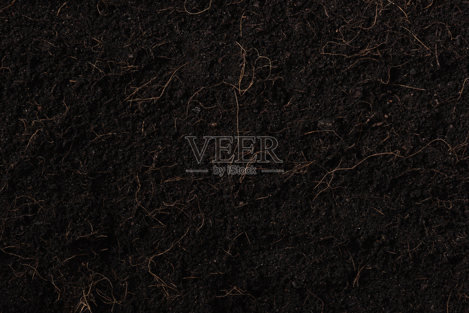 黑土地为植物背景照片摄影图片