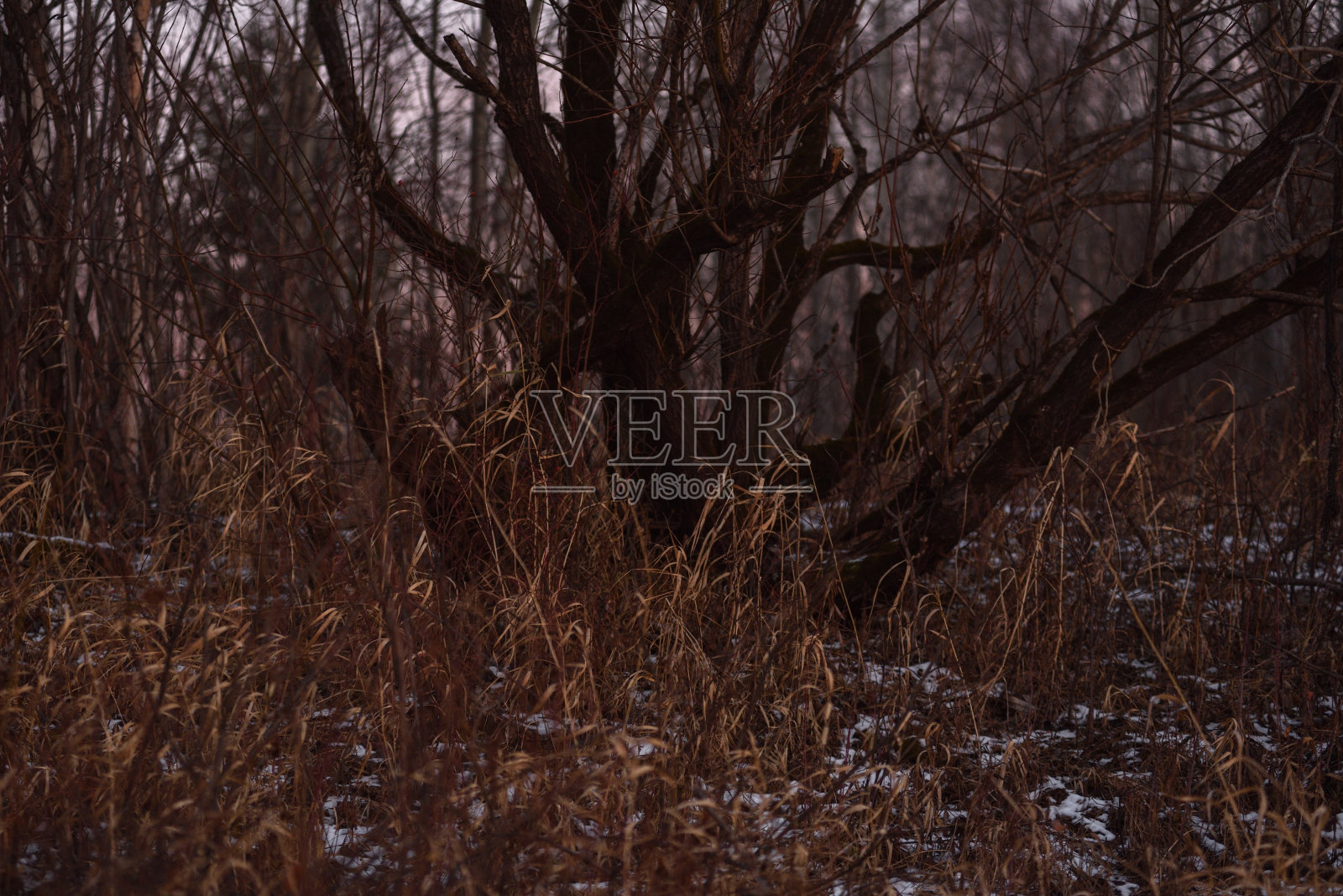 在深秋的田野里照片摄影图片