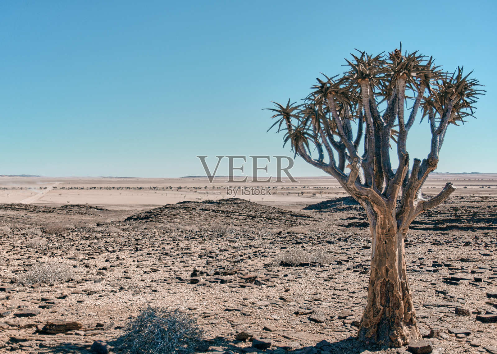 纳米比亚令人惊叹的风景照片摄影图片