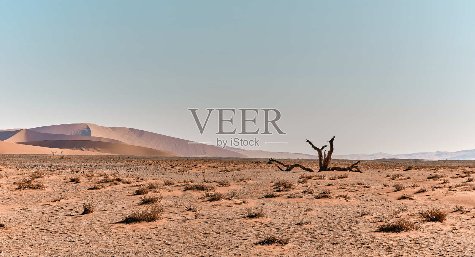 纳米比亚景观照片摄影图片