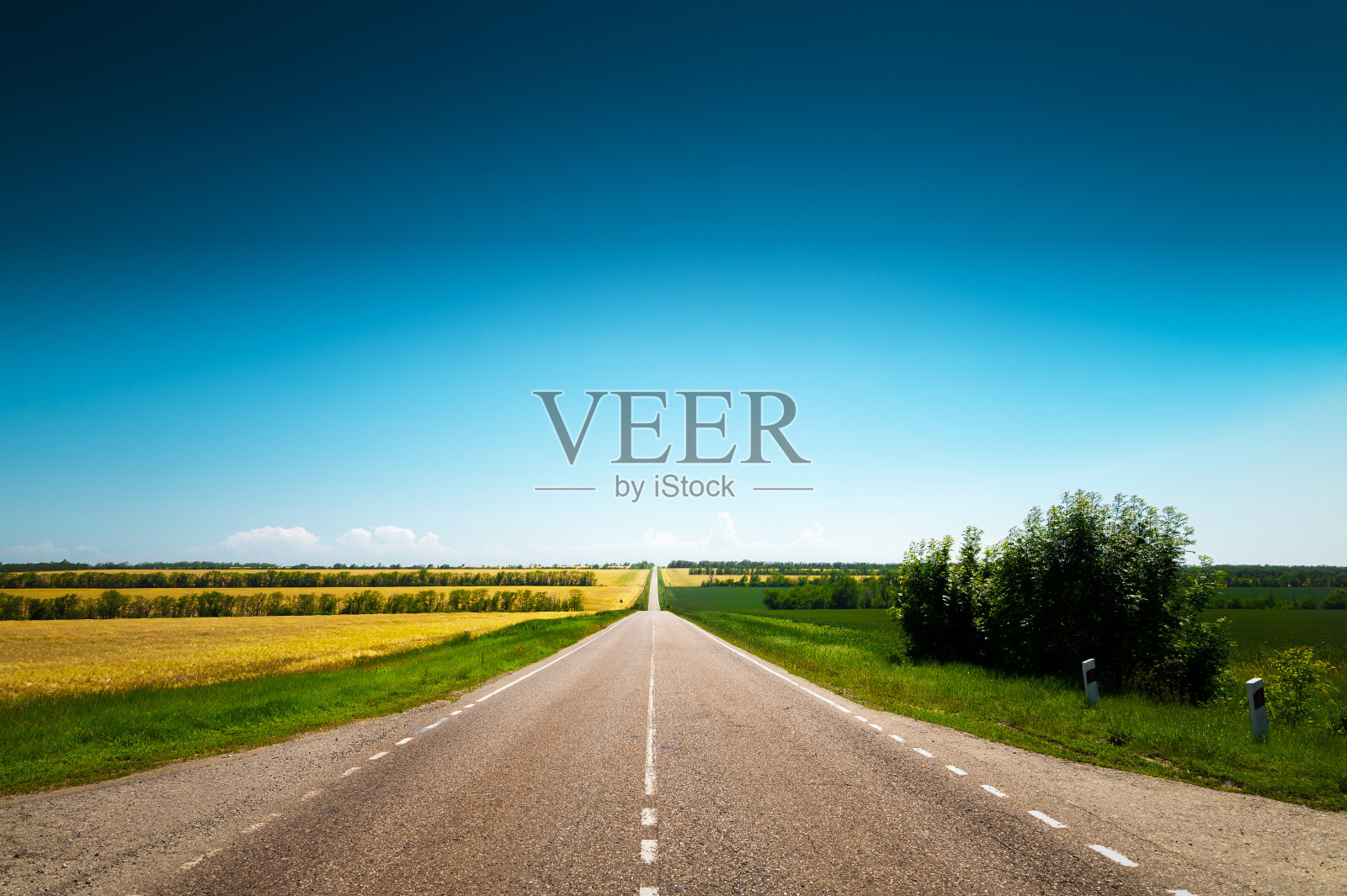 空旷的乡村道路，在一个夏日，与绿色的森林和绿化的两旁照片摄影图片