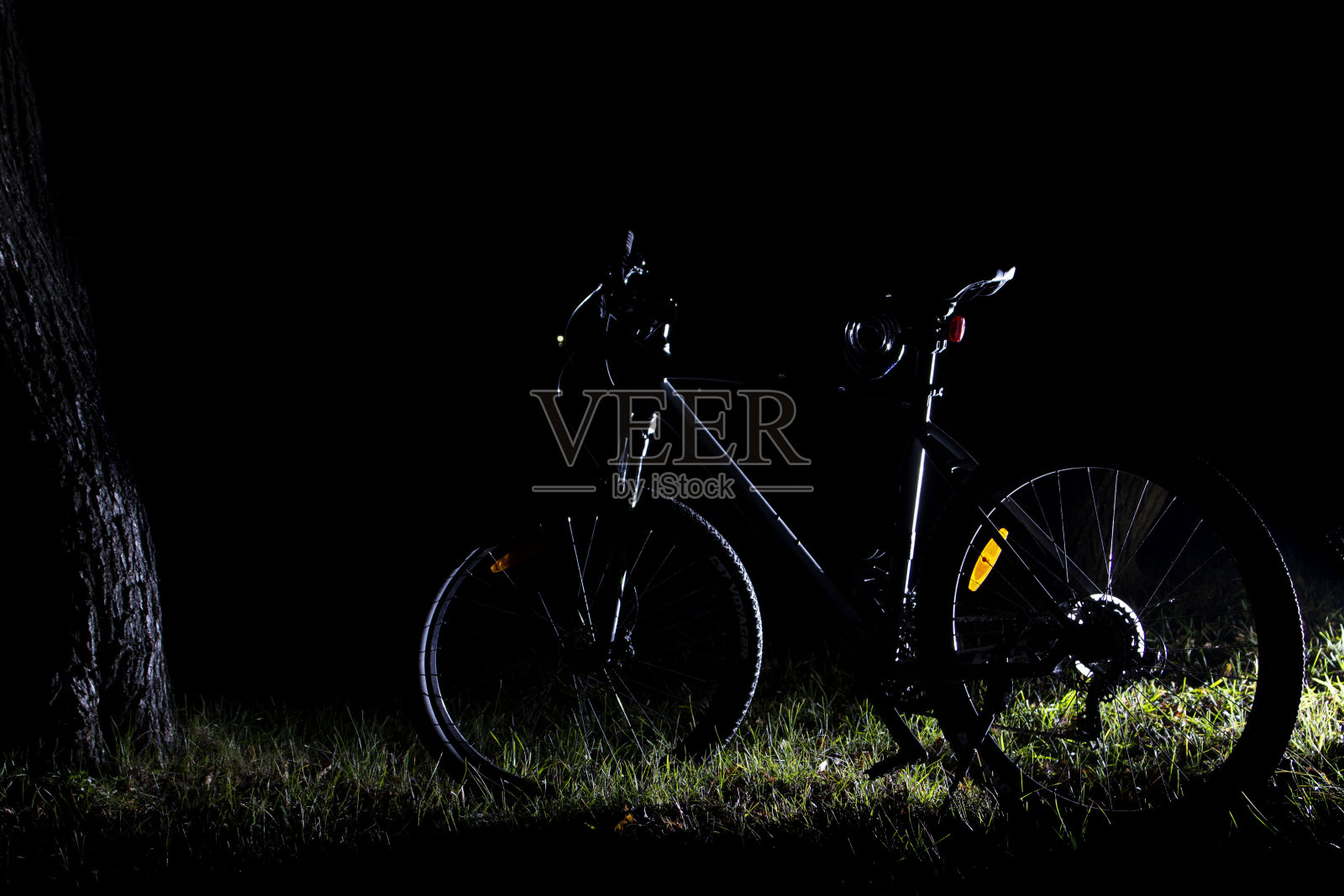 在背光下的森林里骑自行车照片摄影图片