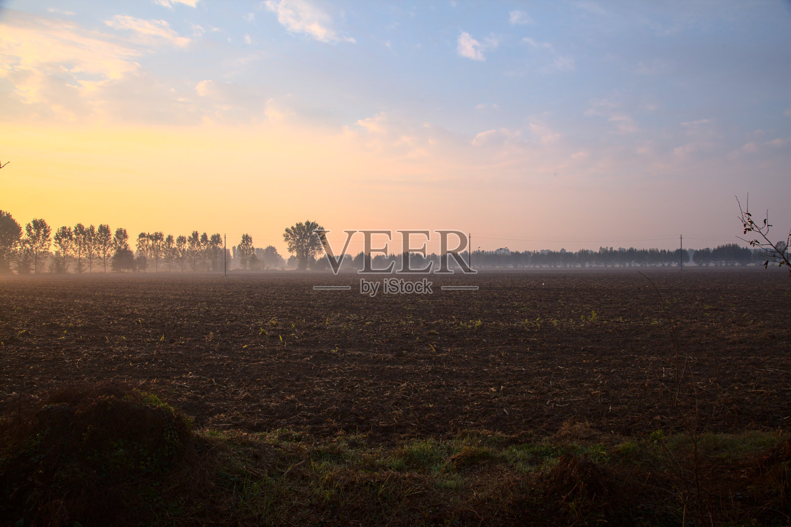 田野与薄雾的日出在秋天的农村照片摄影图片