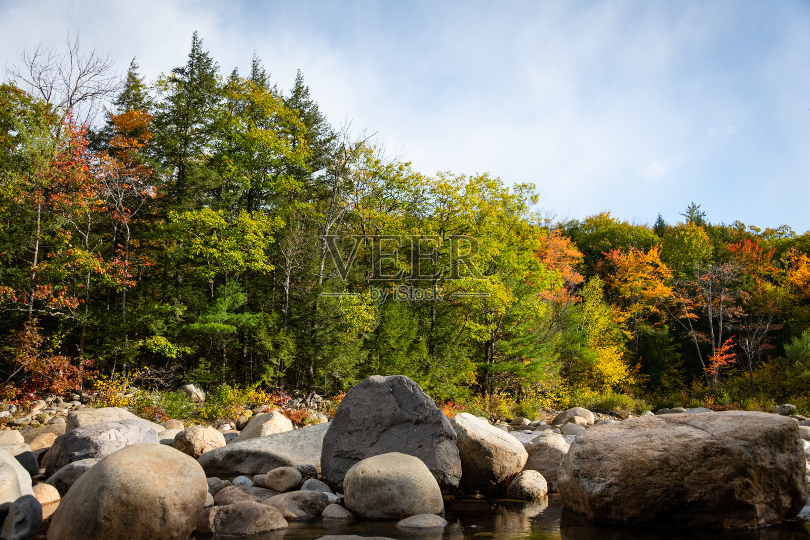新罕布什尔的秋叶照片摄影图片