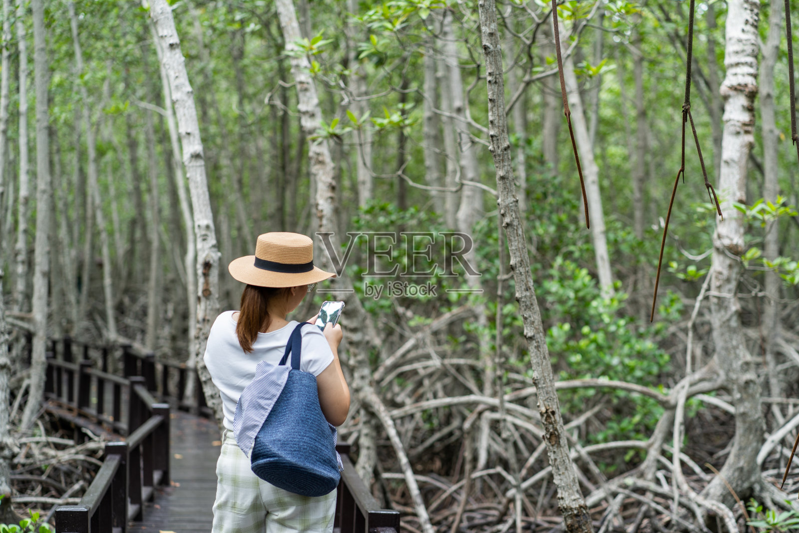 亚洲女性在自然森林里旅行并使用智能手机。热带丛林中的小径。照片摄影图片
