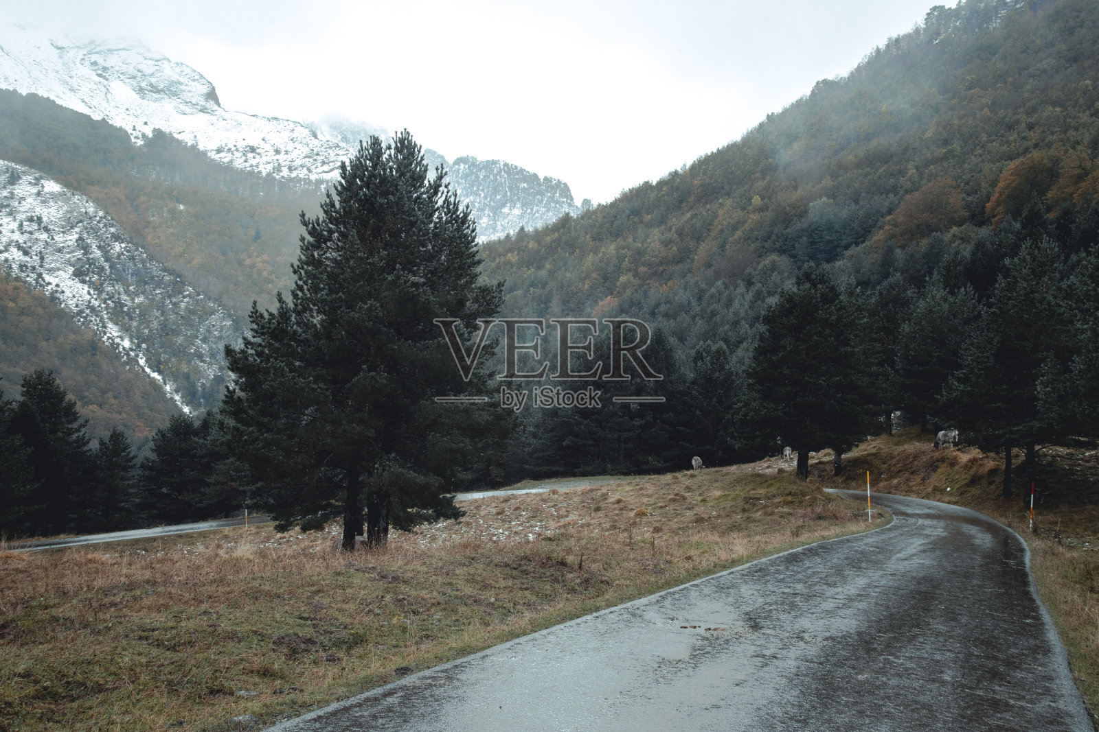 山区道路照片摄影图片