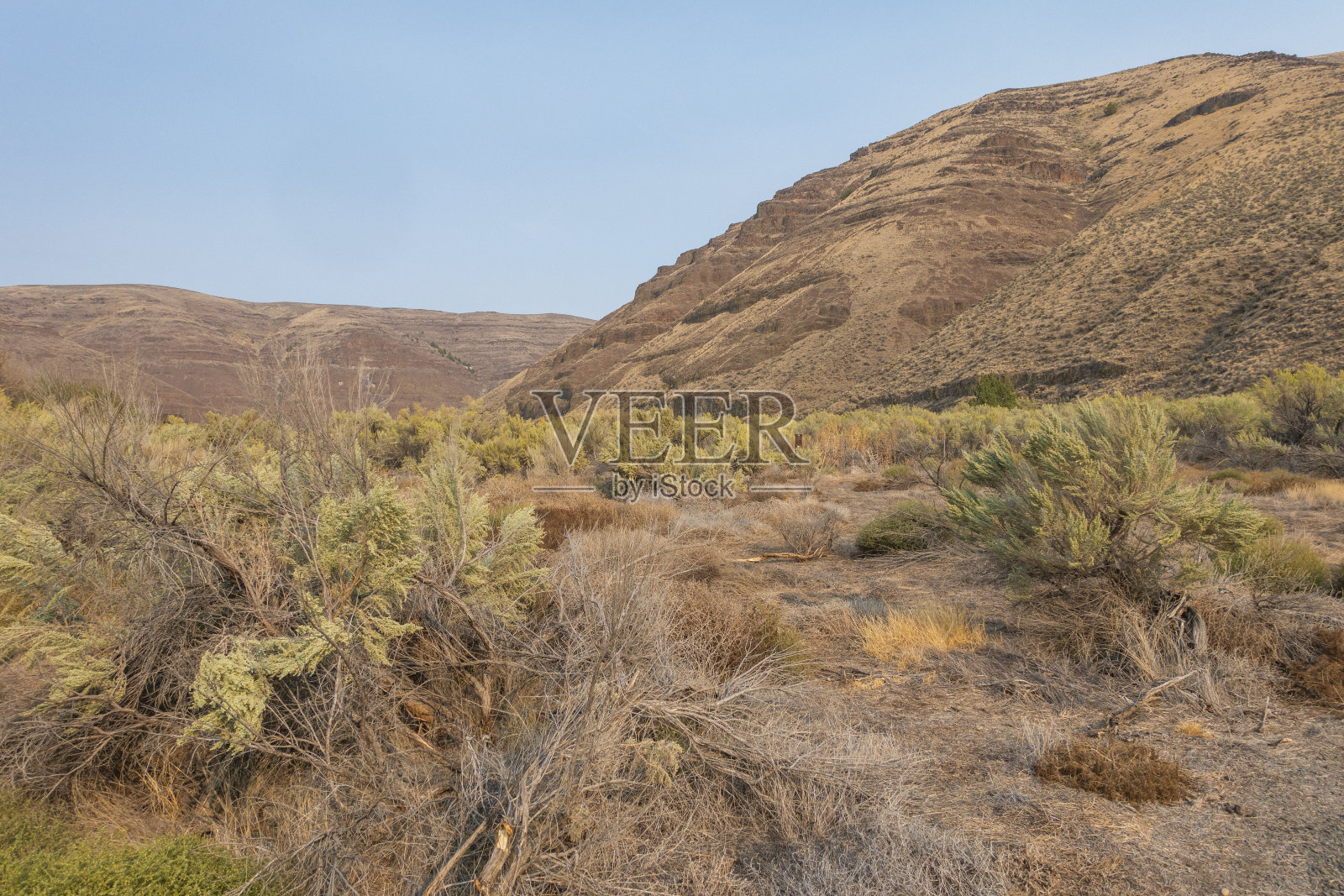 俄勒冈东部的荒野和沙漠照片摄影图片