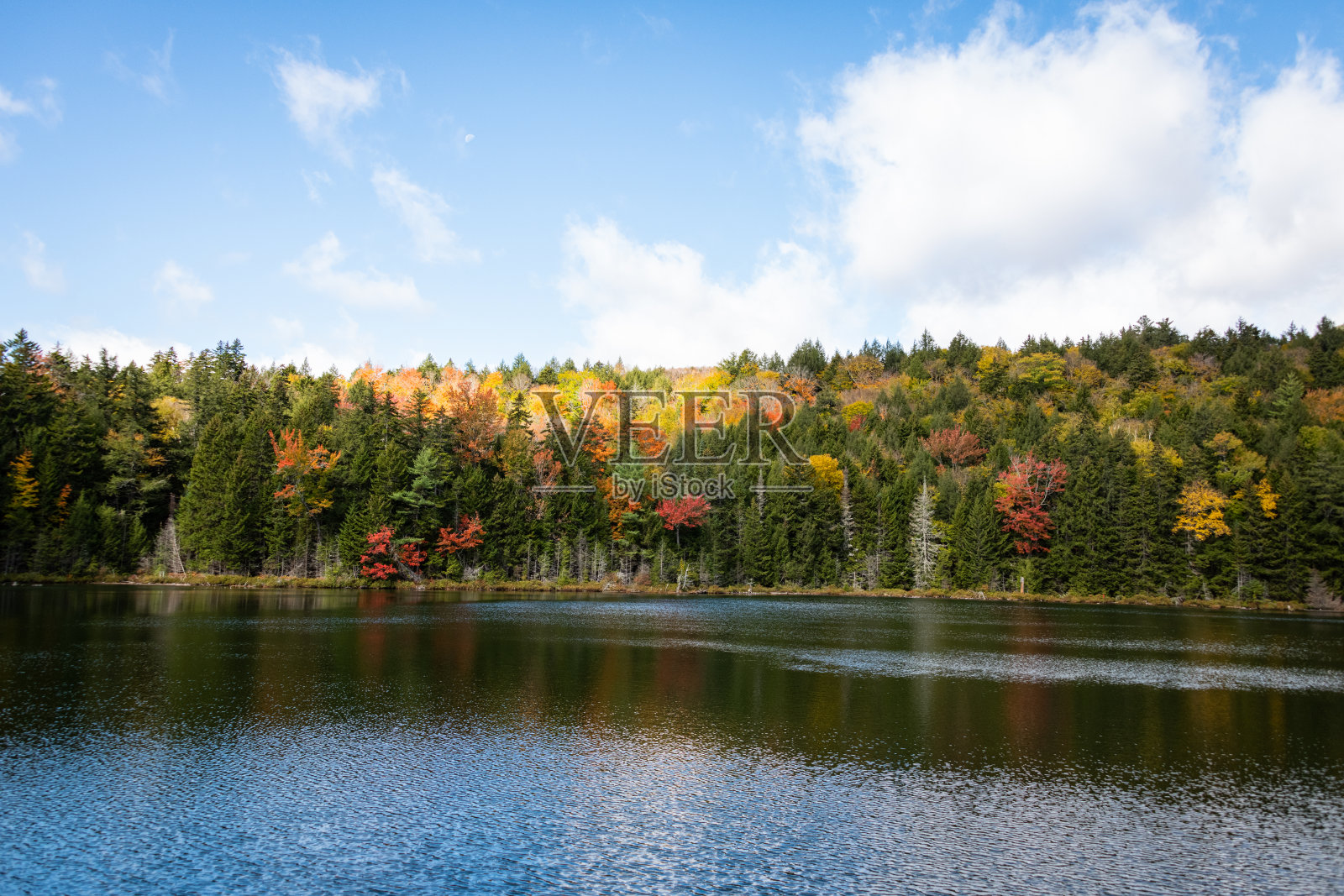 新罕布什尔州白山森林的秋天树叶照片摄影图片