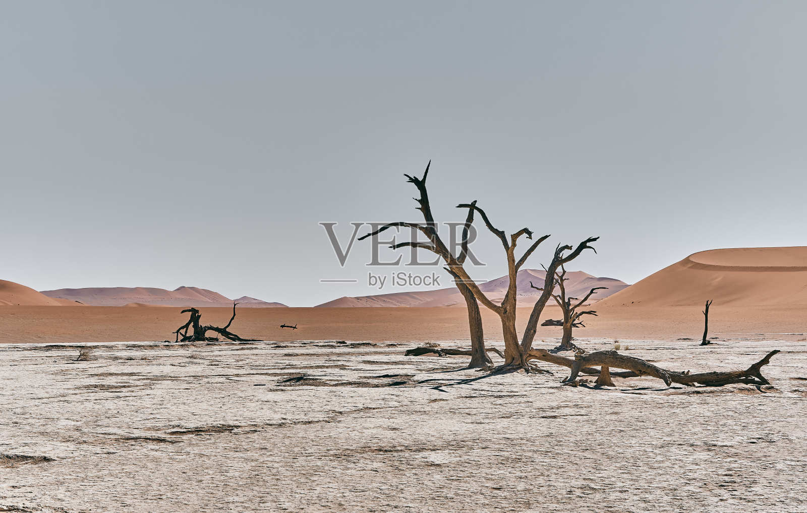 纳米比亚景观照片摄影图片