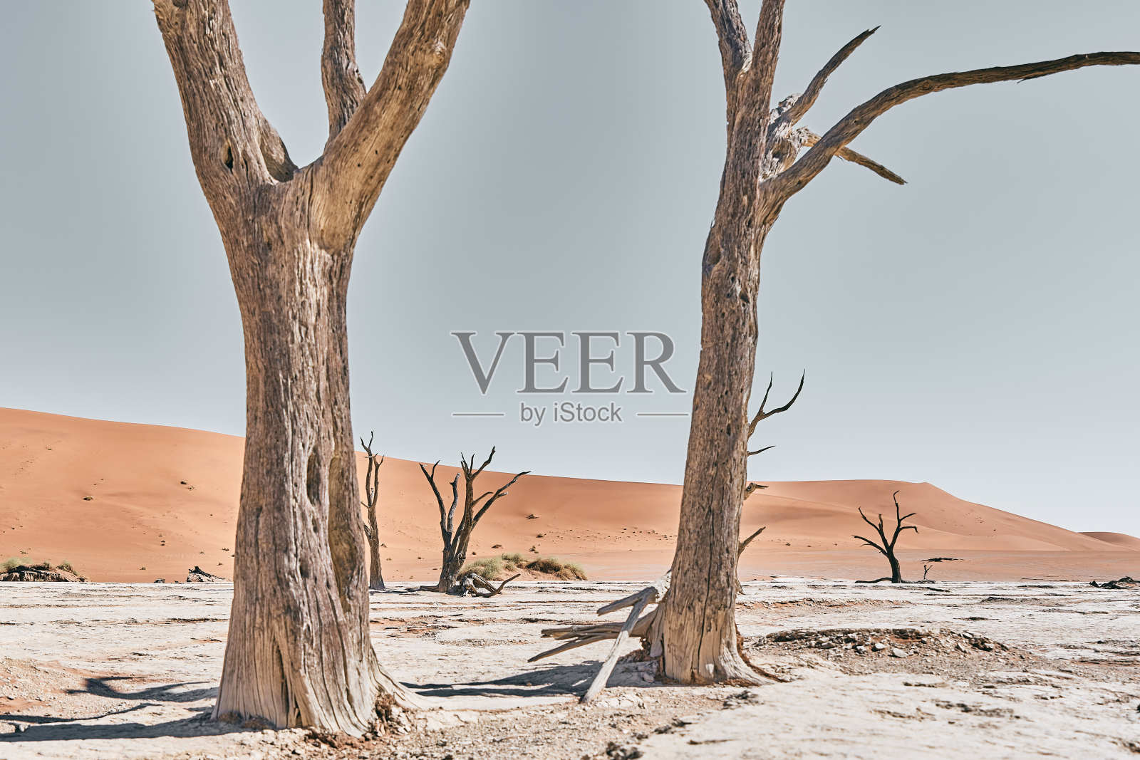 纳米比亚景观照片摄影图片