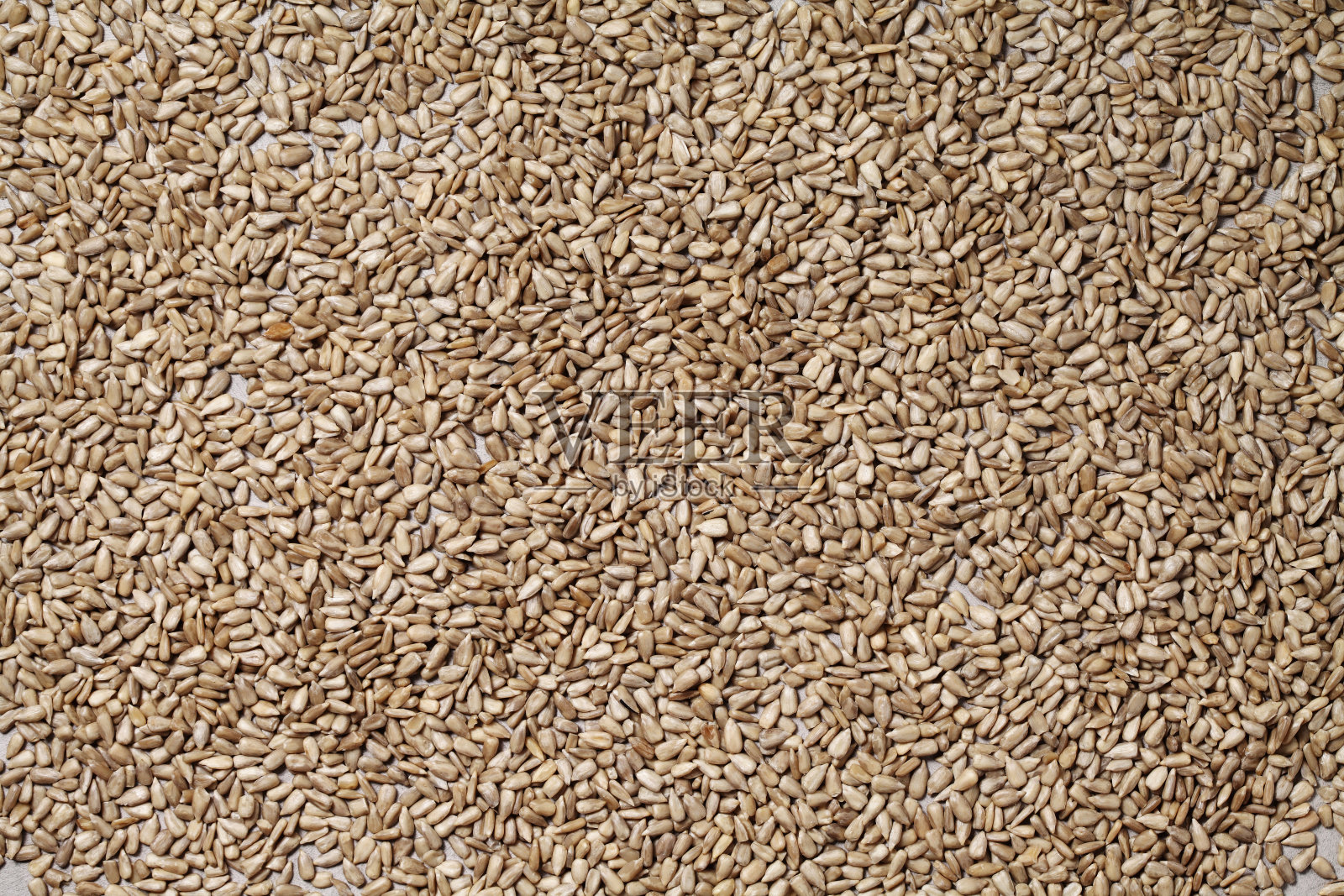 在乡村背景上的生葵花籽照片摄影图片