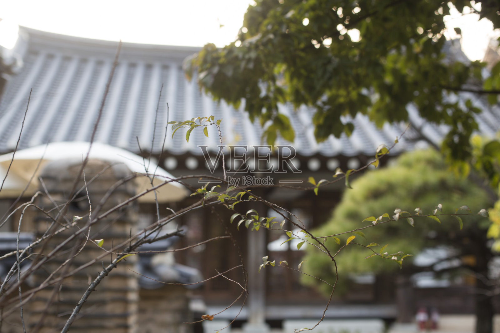 韩屋的传统韩国风格建筑。照片摄影图片