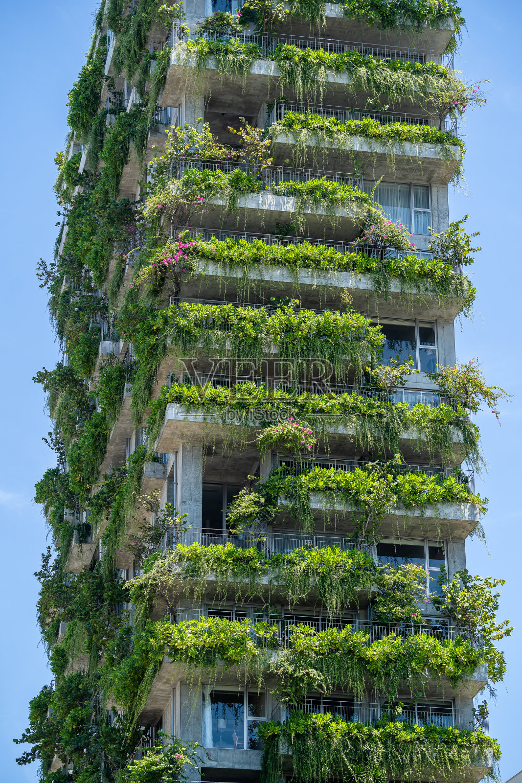 越南岘港街道上的房子的石墙上有绿色植物和鲜花的生态建筑立面照片摄影图片