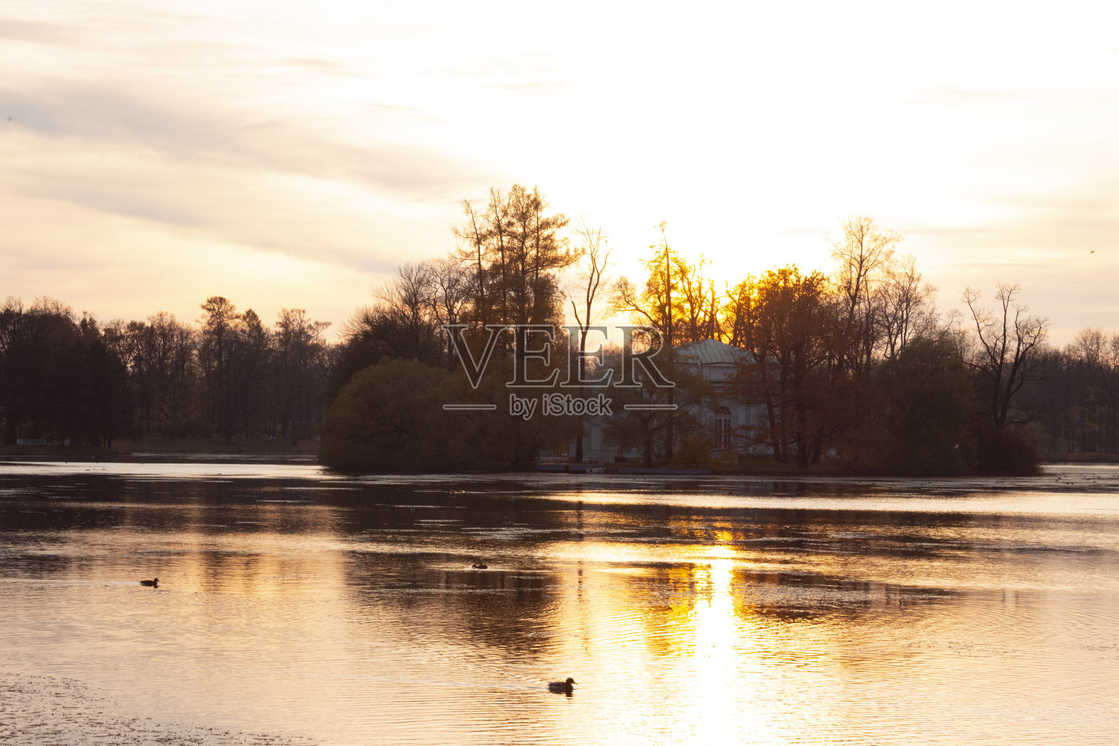 自然美照片摄影图片