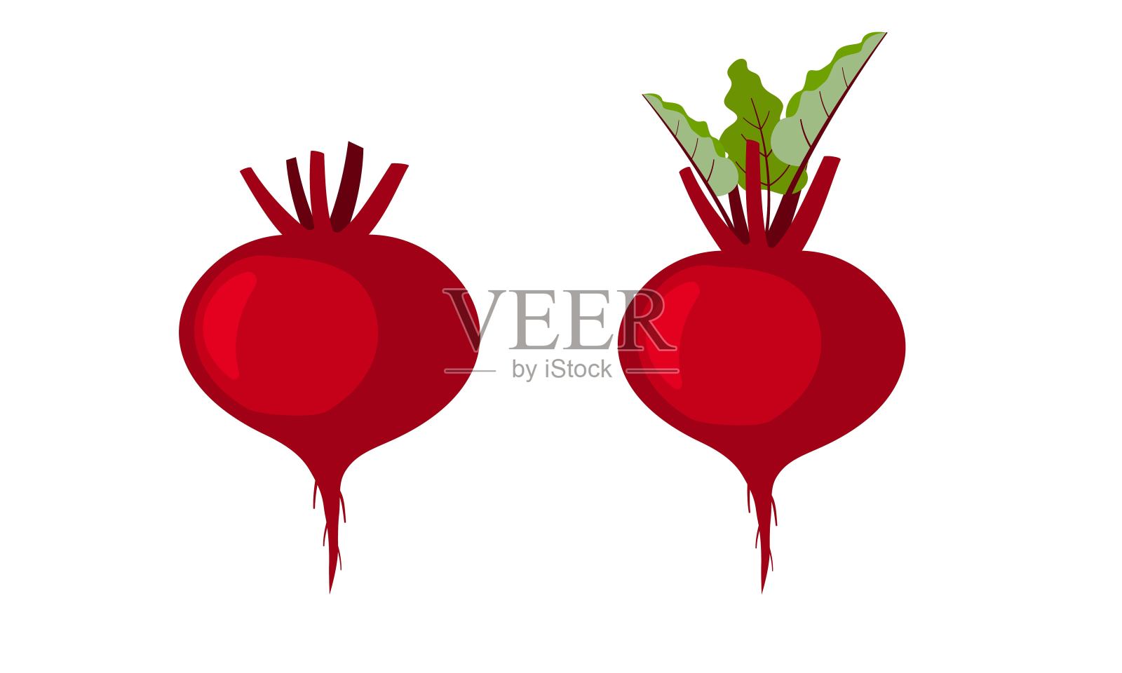 一组红色的根蔬菜与绿色的叶子。甜菜根插图插画图片素材