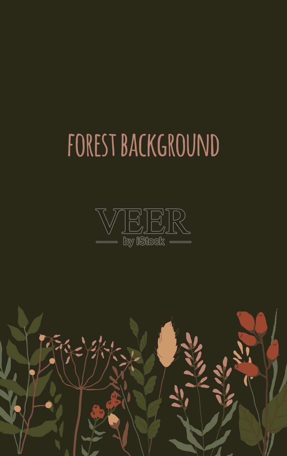 背景与花卉元素。植物收集。一套野地花，草本植物。花、叶、枝等自然元素。插画图片素材