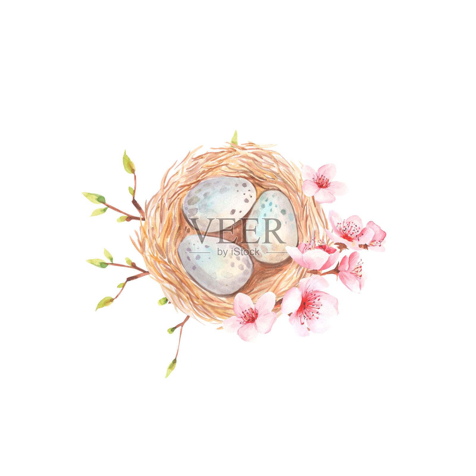 鸟巢水彩插图。春天的天然鸟屋用稻草和树枝和蓝色的蛋。近手画窝。象征着复活节、爱和家庭。孤立在白色背景上。插画图片素材