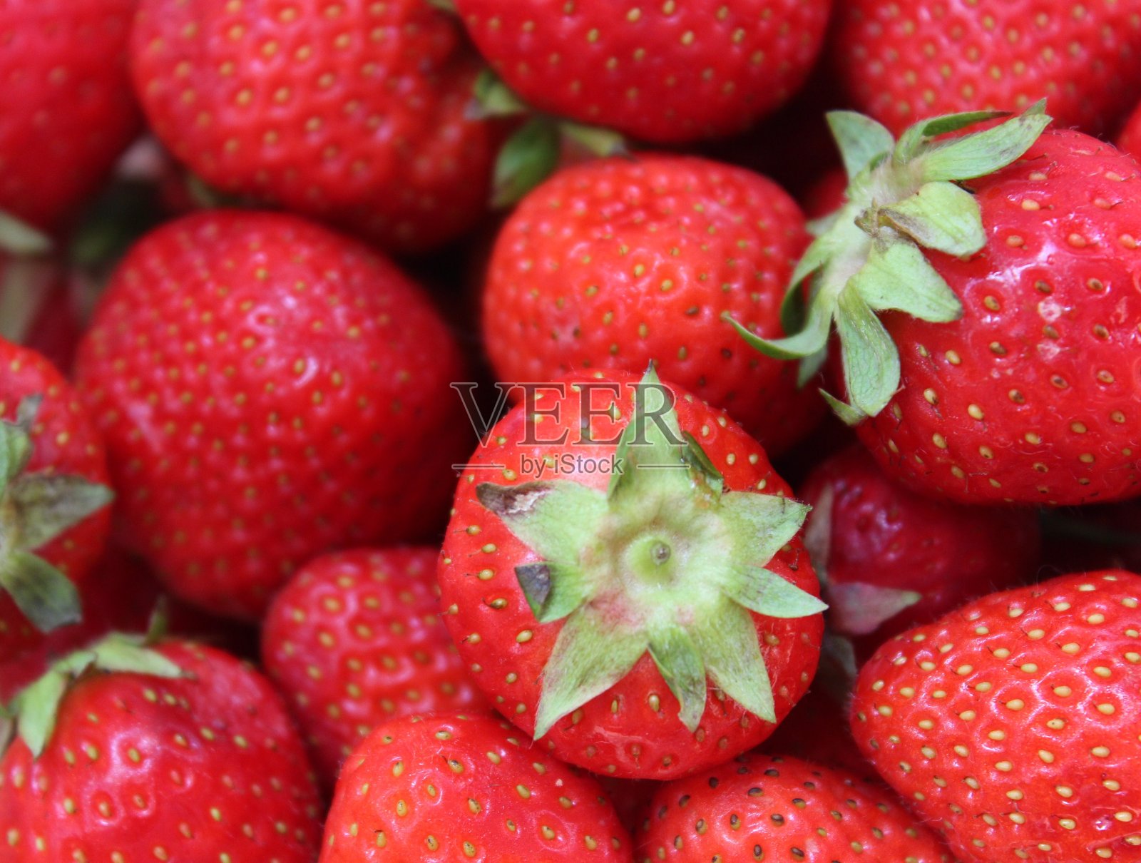 现在就吃新鲜的草莓照片摄影图片