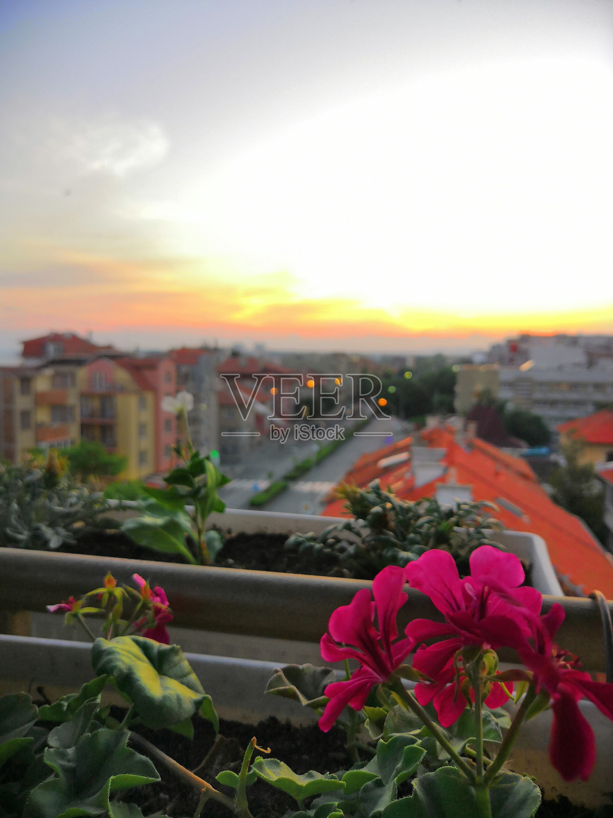 从模糊的红色瓦片屋顶上可以看到被学校建筑和古老的传统房屋包围的封闭舒适的院子照片摄影图片