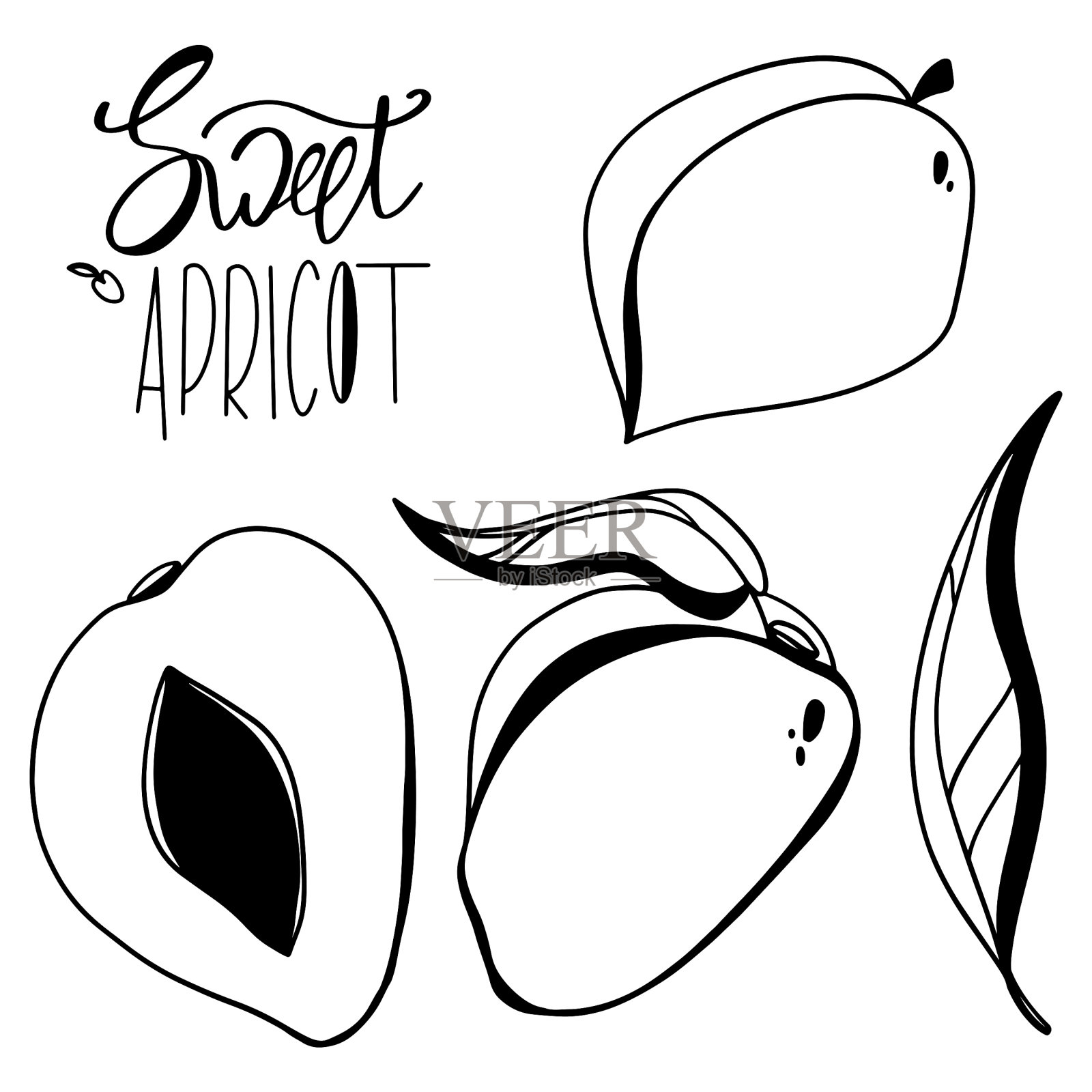 略带甜杏味插画图片素材