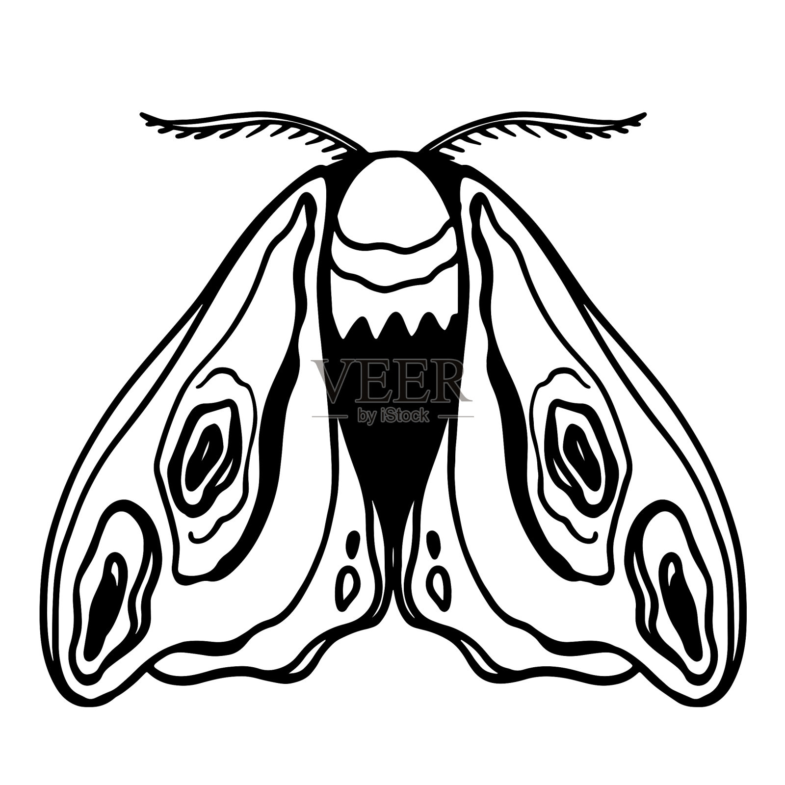 可爱的飞蛾插画图片素材