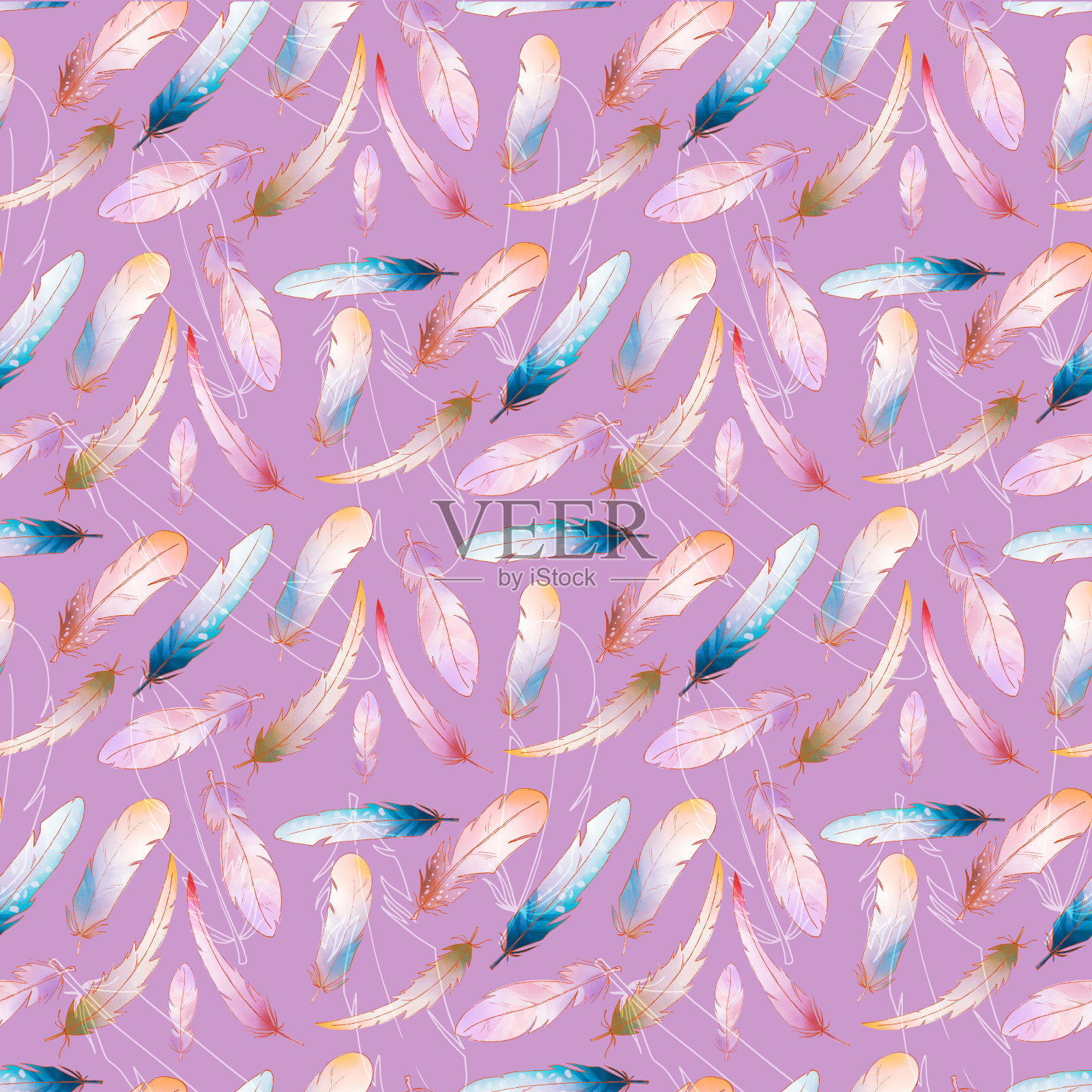 白色背景上可爱的羽毛插画图片素材