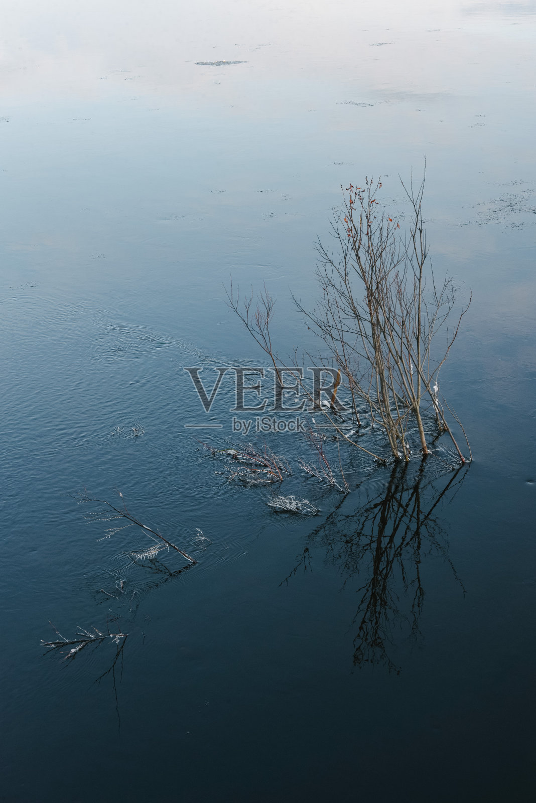 冰冷的柳枝映衬着河的背景。照片摄影图片