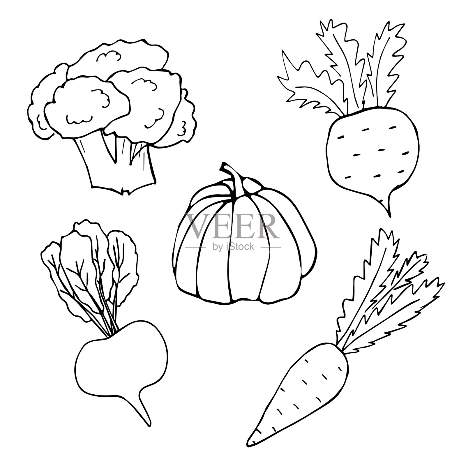 蔬菜涂鸦插画图片素材