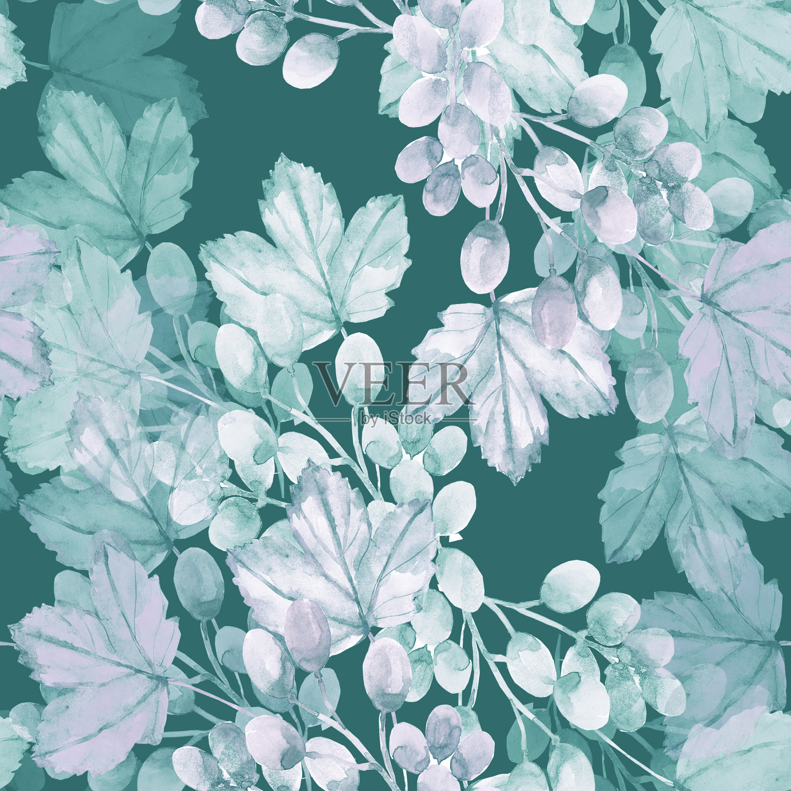 秋叶插画图片素材