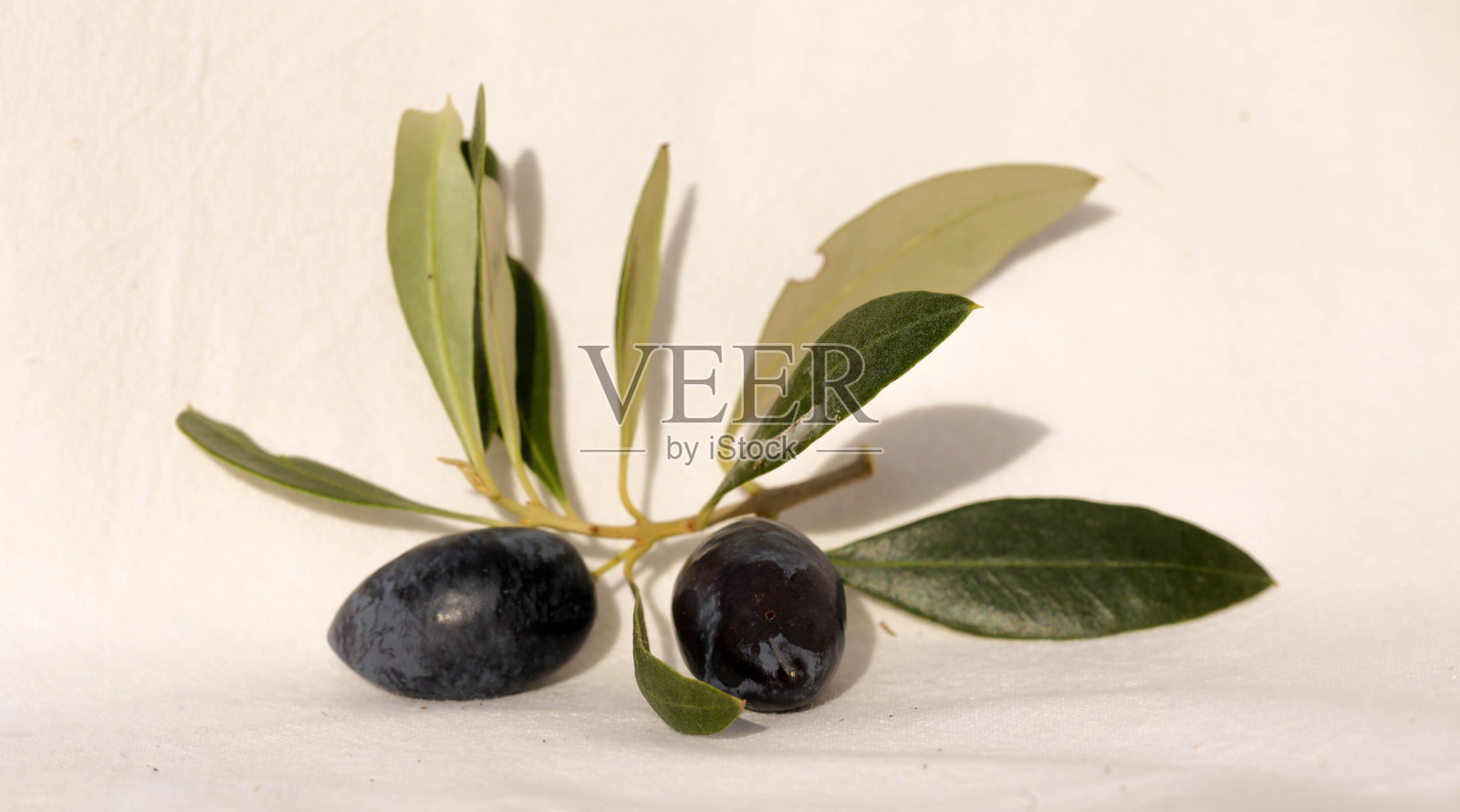 橄榄为油，叶树为天然食品背景照片摄影图片