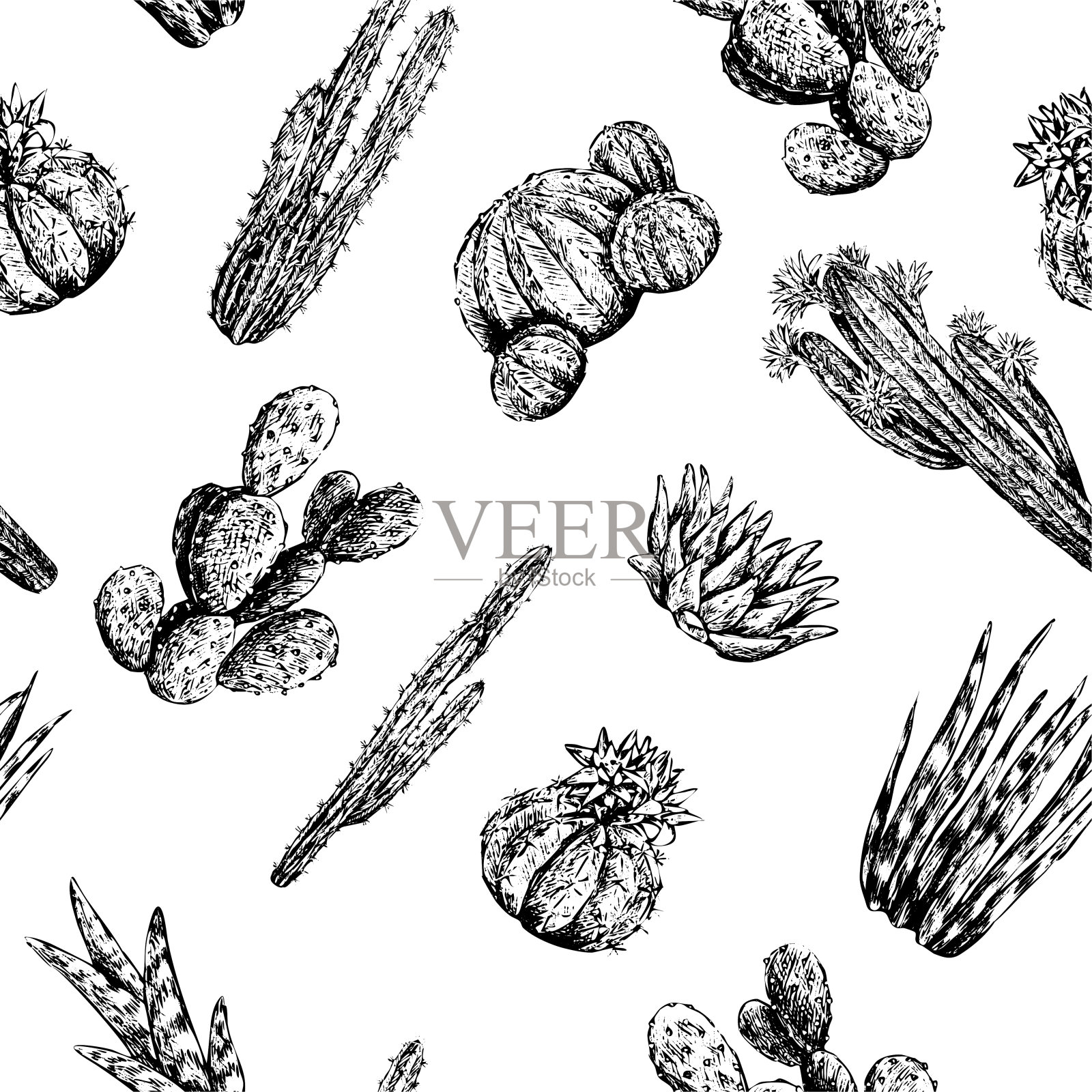 复古矢量无缝模式。不同仙人掌和多肉植物的草图。手绘沙漠植物墙纸。黑色轮廓植物背景。用于包装，纸张，纺织品，明信片，印刷品。插画图片素材