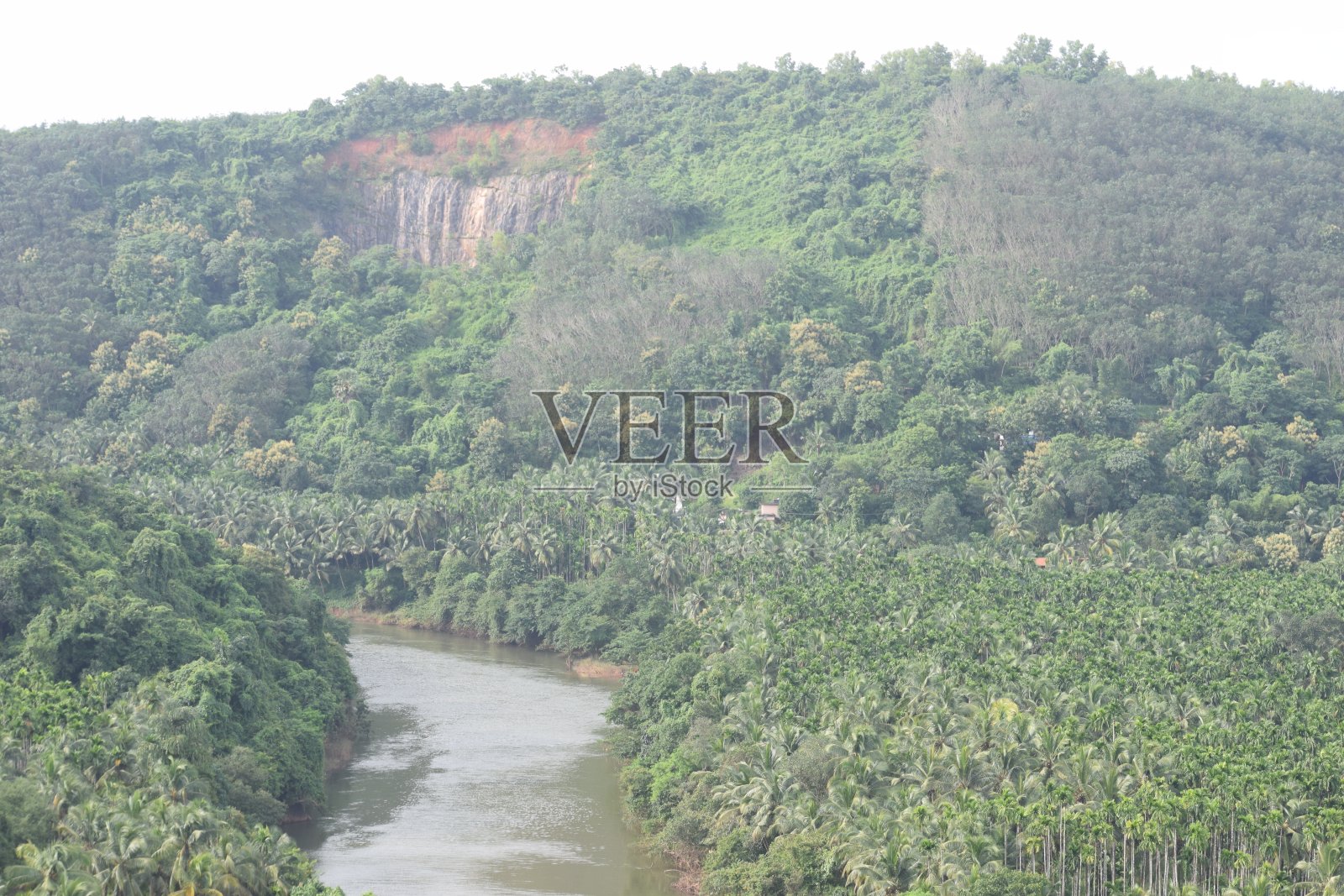 长视野的绿色与河流和植物照片摄影图片