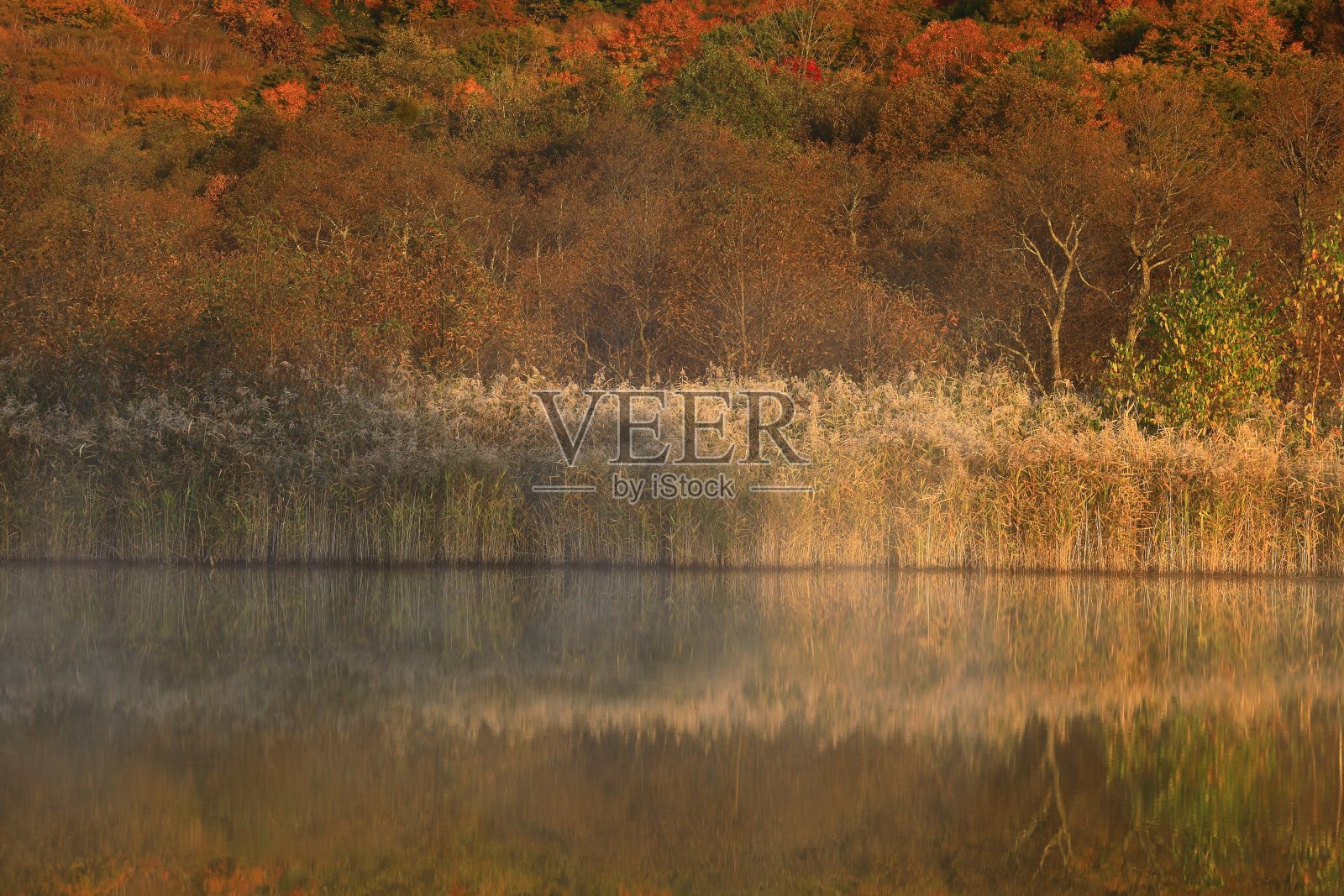 秋天的八毛满台照片摄影图片
