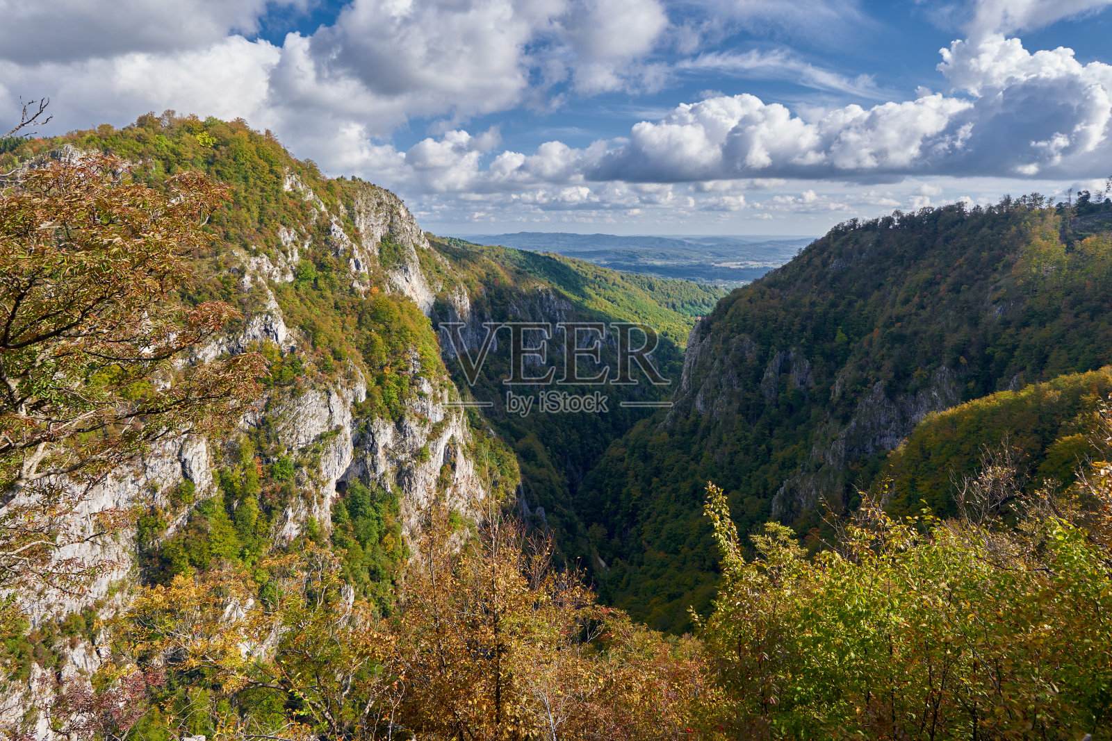 有悬崖和森林的山脉照片摄影图片