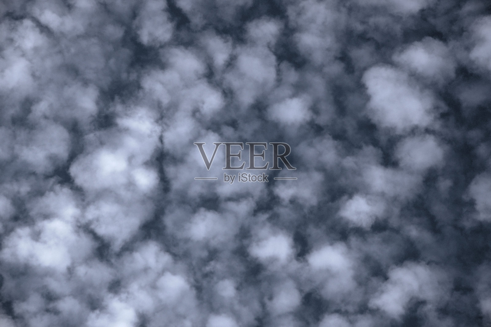 鲭鱼天空纹理拍摄照片摄影图片