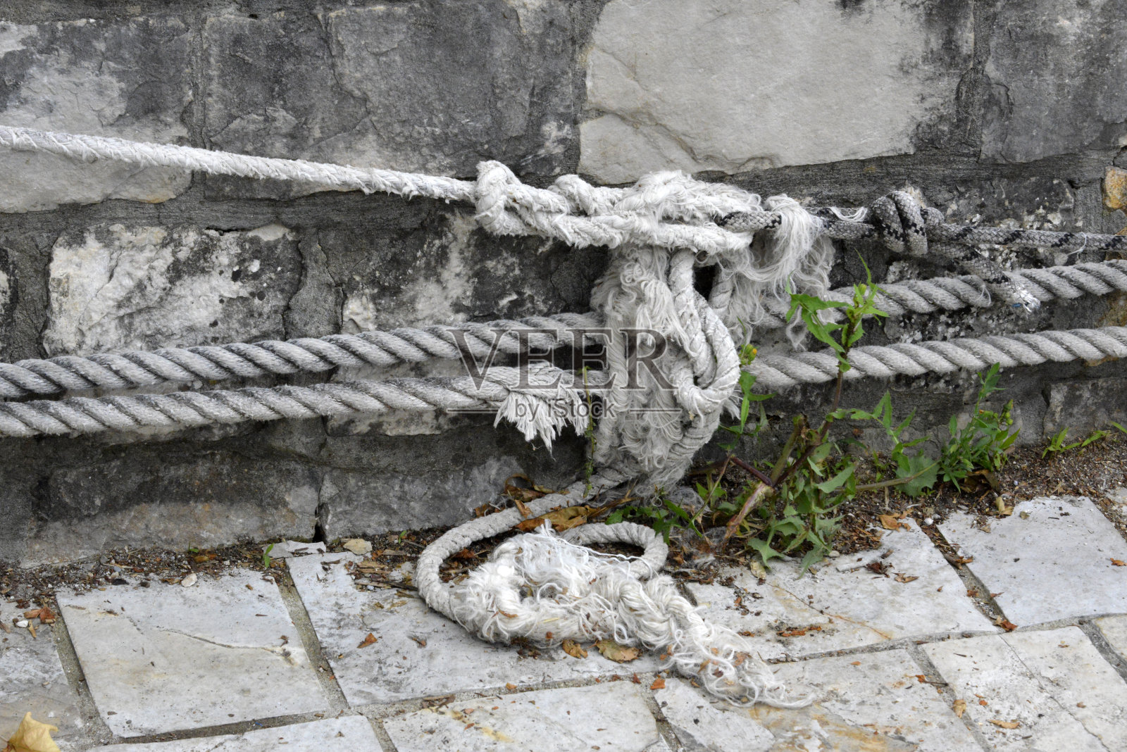 码头上系泊处的绳子上系着海军结照片摄影图片