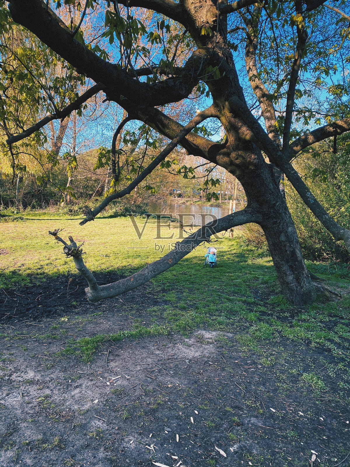 在公园里有一个洋娃娃的婴儿车照片摄影图片