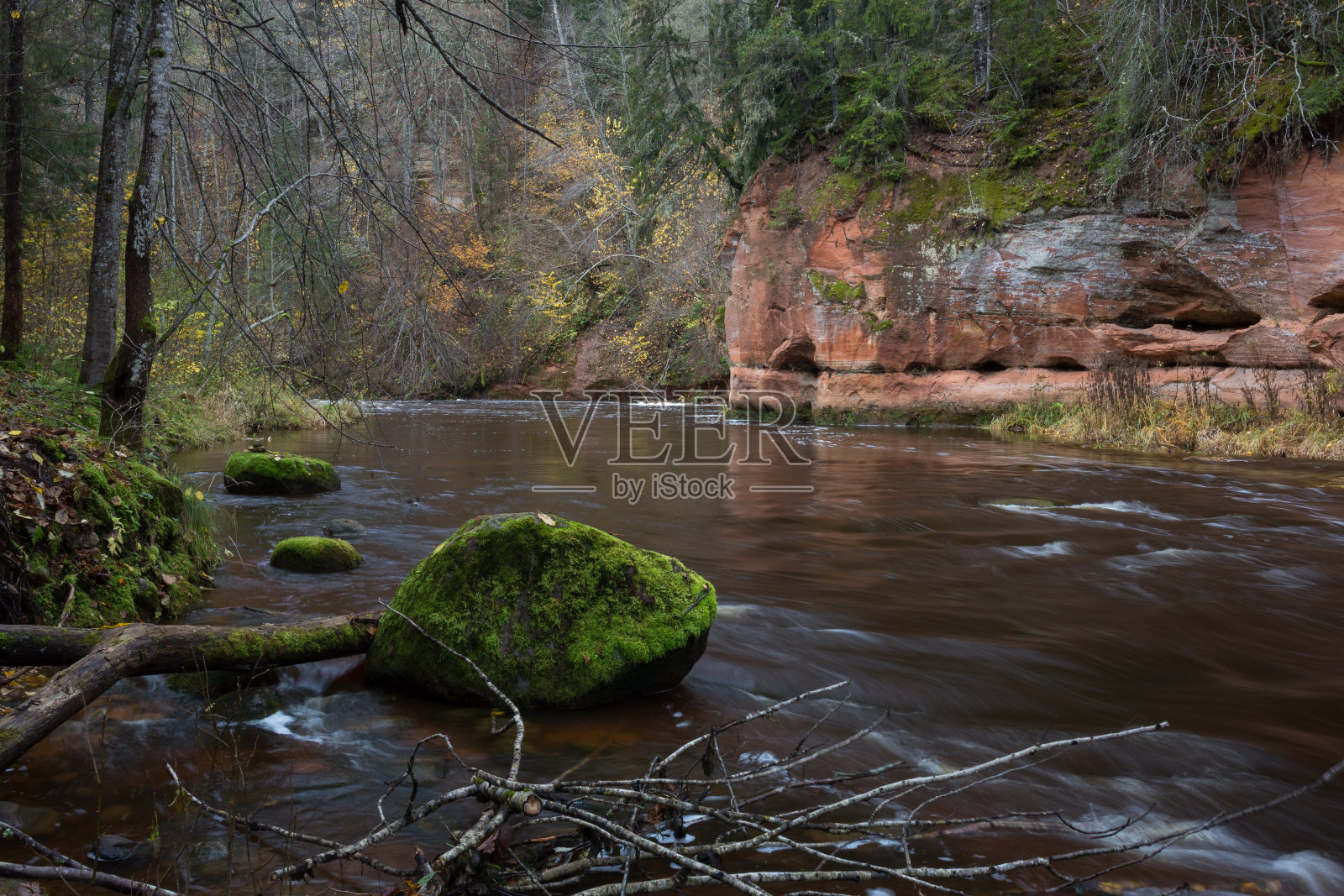 有石头和树木的急流河。天然的植物。照片摄影图片