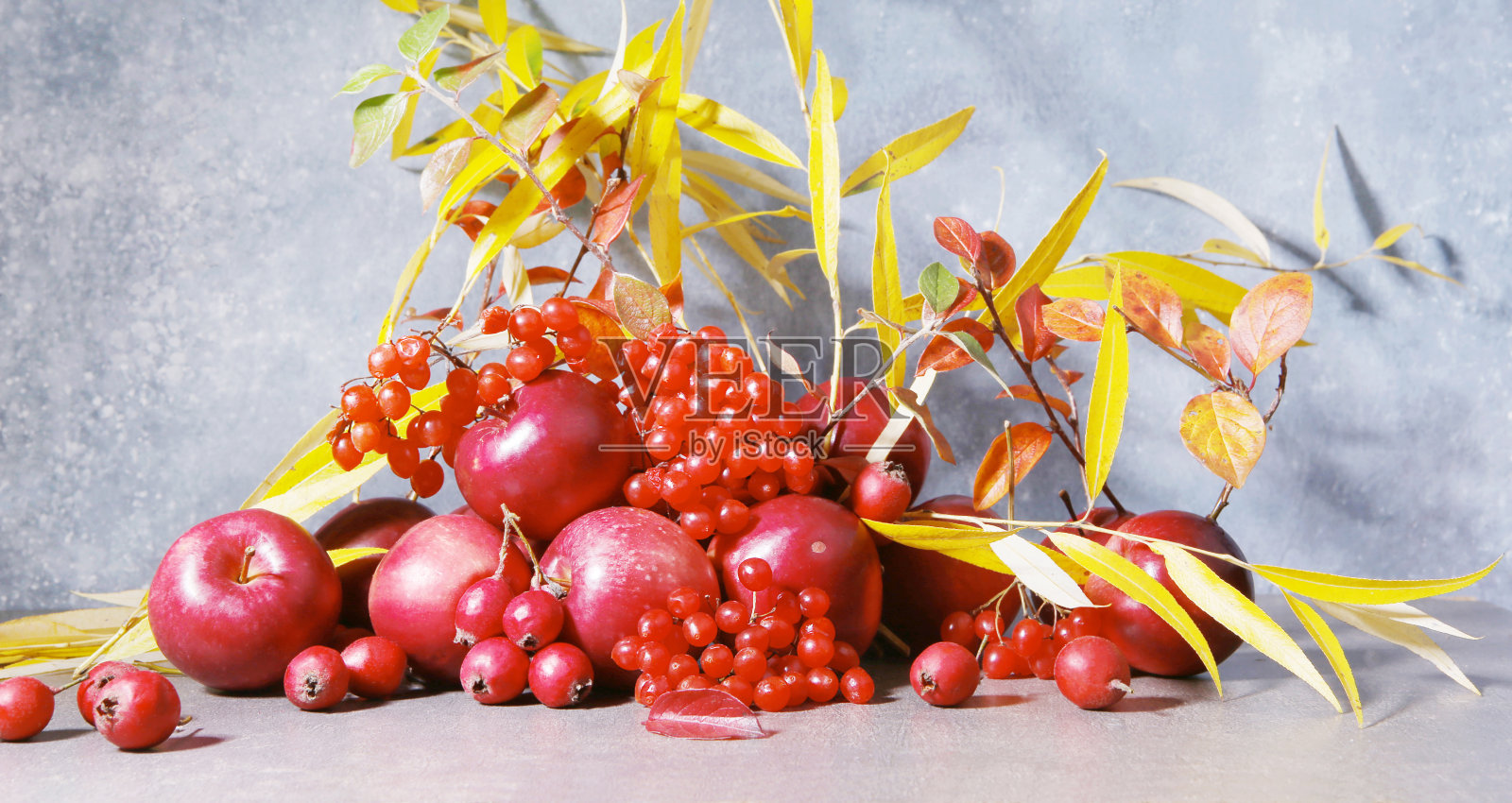 蓝色背景下的苹果、荚蒾和山楂果的静物画。照片摄影图片