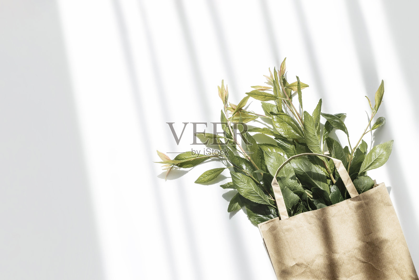 回收的棕色纸购物袋与处理和绿色的树枝叶子孤立在白色的背景。“零浪费”的概念。俯视图，平放，复制空间。照片摄影图片