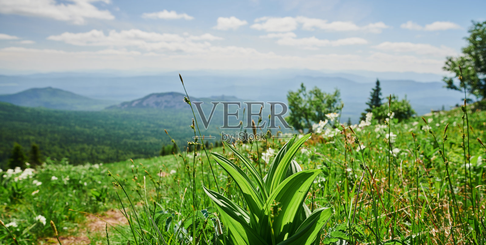 俄罗斯巴。南乌拉尔山脉的第二个山峰是一座大的伊勒梅尔山，从苏克塔什山可以看到。照片摄影图片