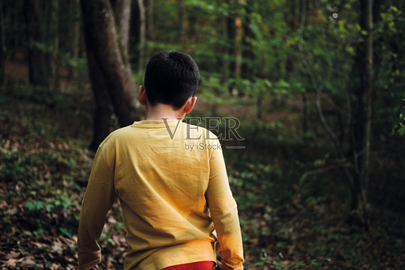 大自然中可爱的孩子照片摄影图片