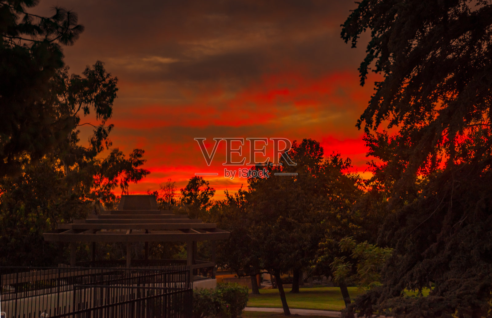 Nightglow。照片摄影图片